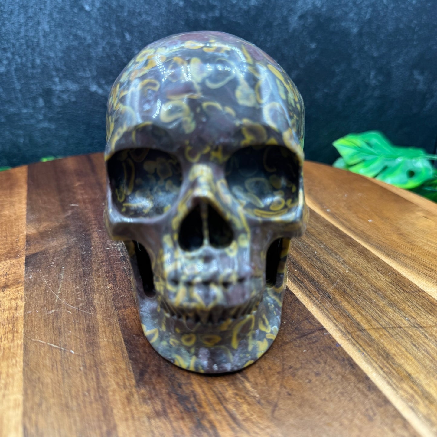 Bamboo Jasper Skull - Sage & Magic