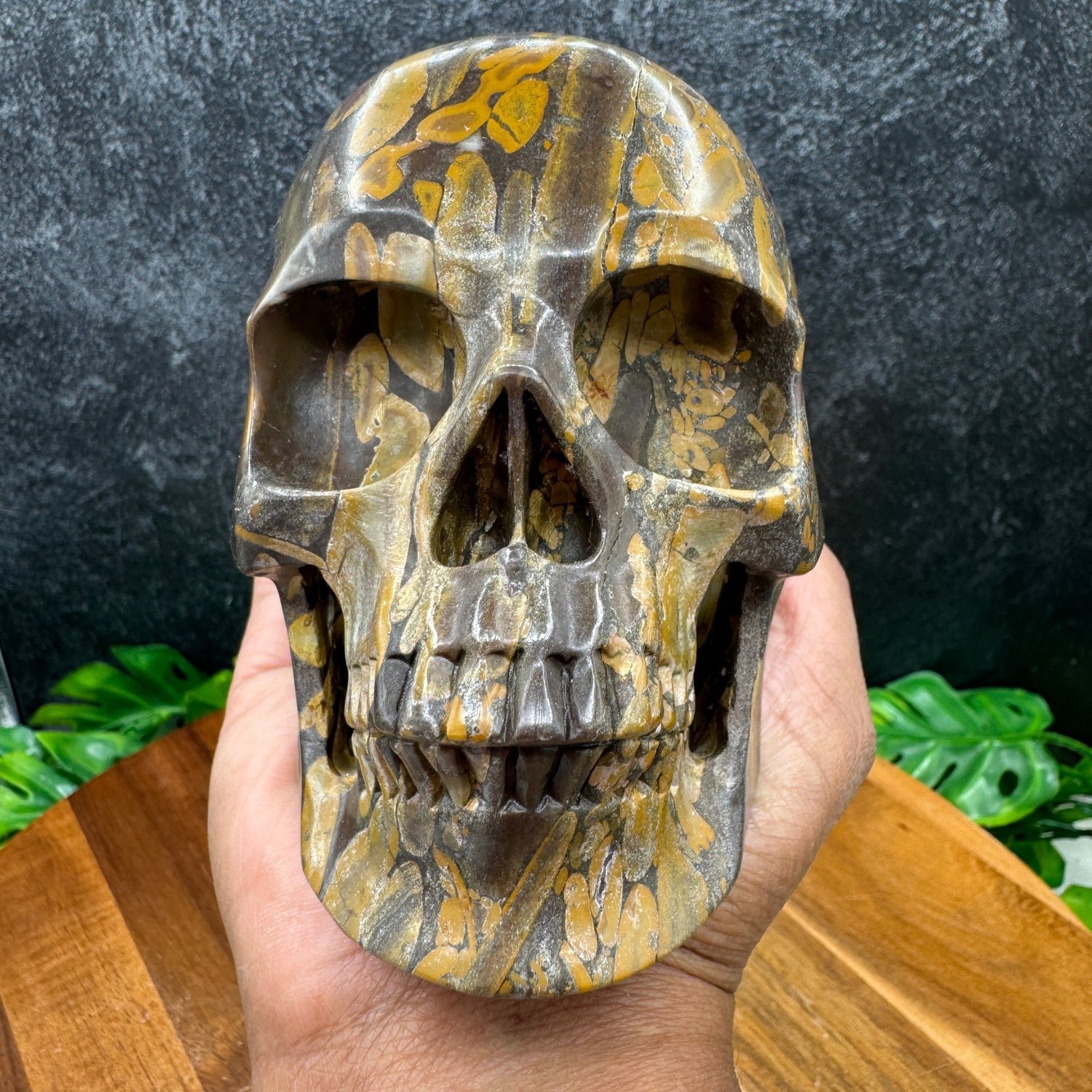 Bamboo Jasper Skull - Sage & Magic