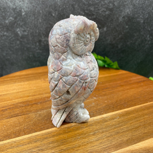 Beautiful Druzy Ocean Jasper Owl - Sage & Magic