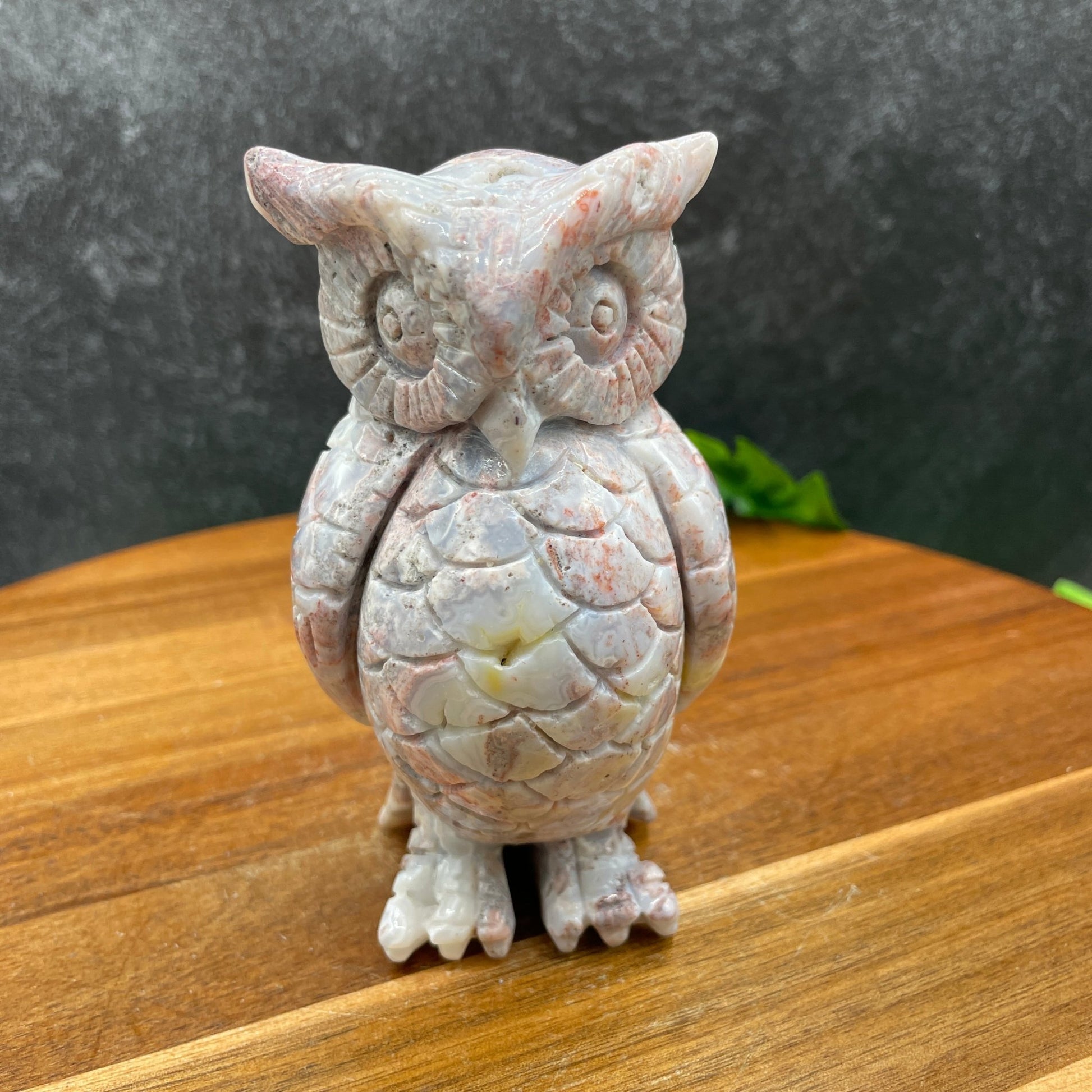 Beautiful Druzy Ocean Jasper Owl - Sage & Magic