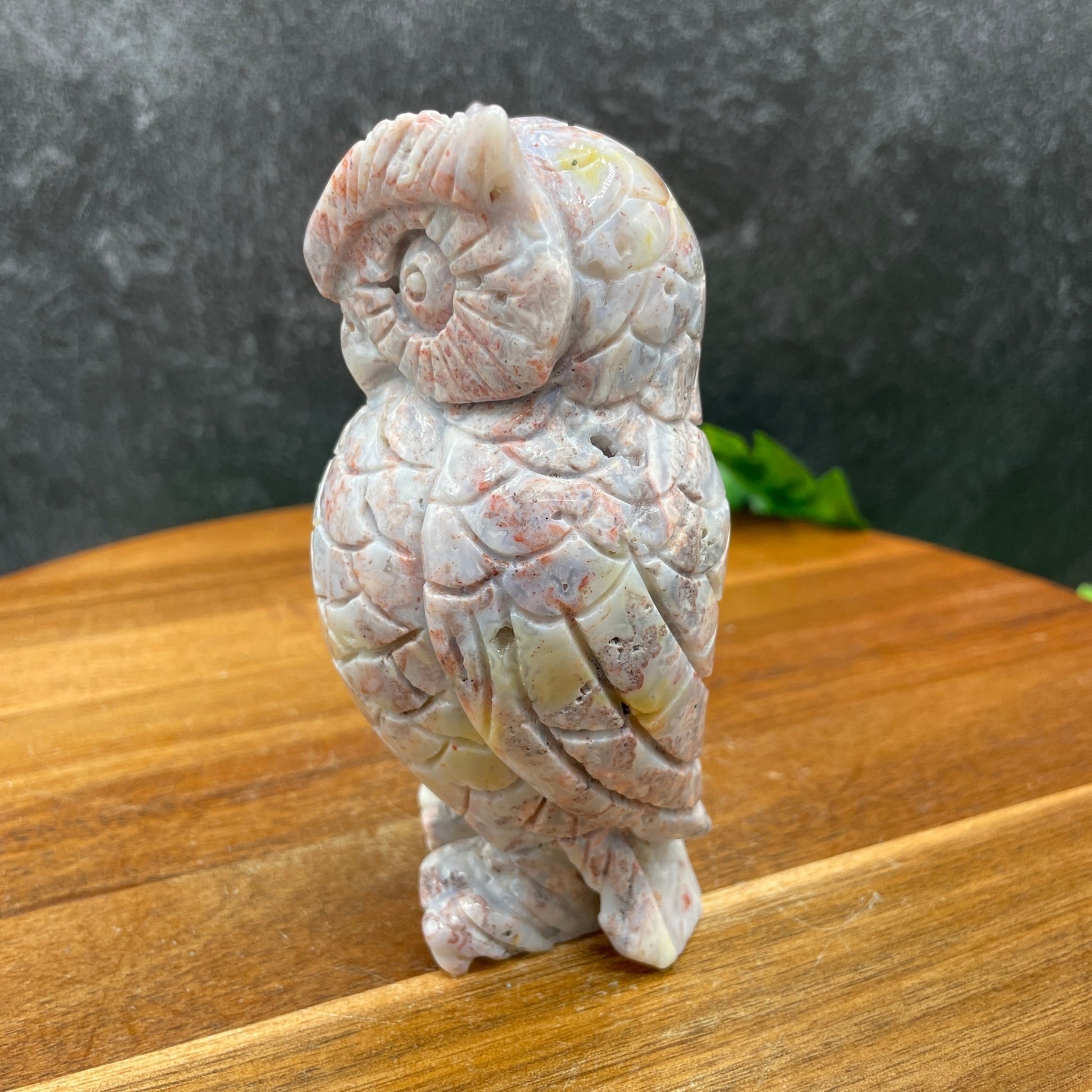 Beautiful Druzy Ocean Jasper Owl - Sage & Magic