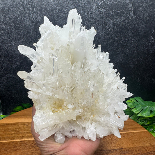 Beautiful XL Clear Quartz Needle Cluster - Sage & Magic