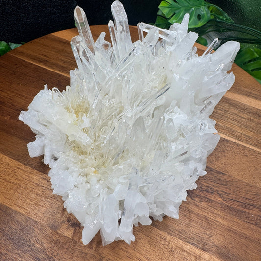 Beautiful XL Clear Quartz Needle Cluster - Sage & Magic