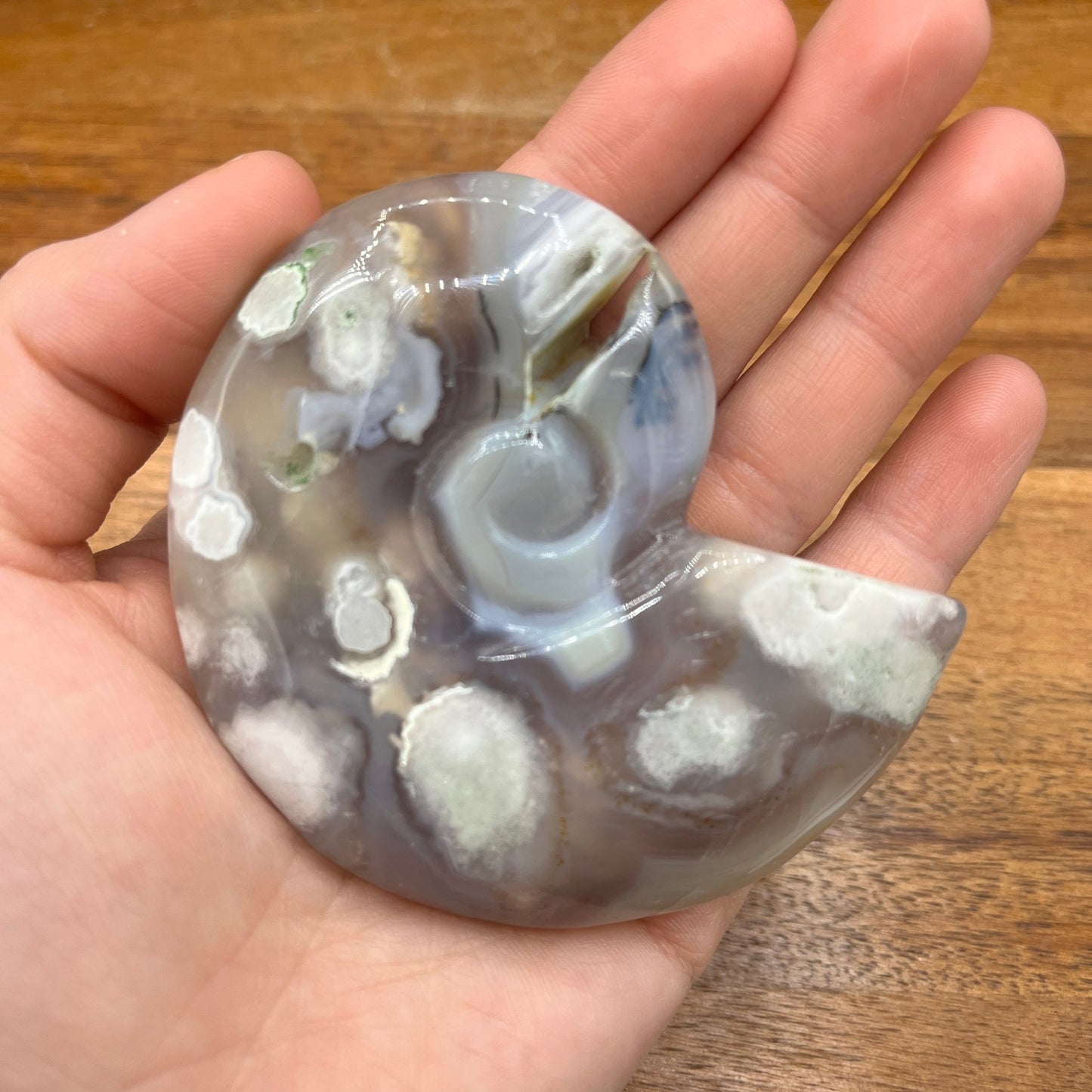 Black Flower Agate Ammonite - Sage & Magic