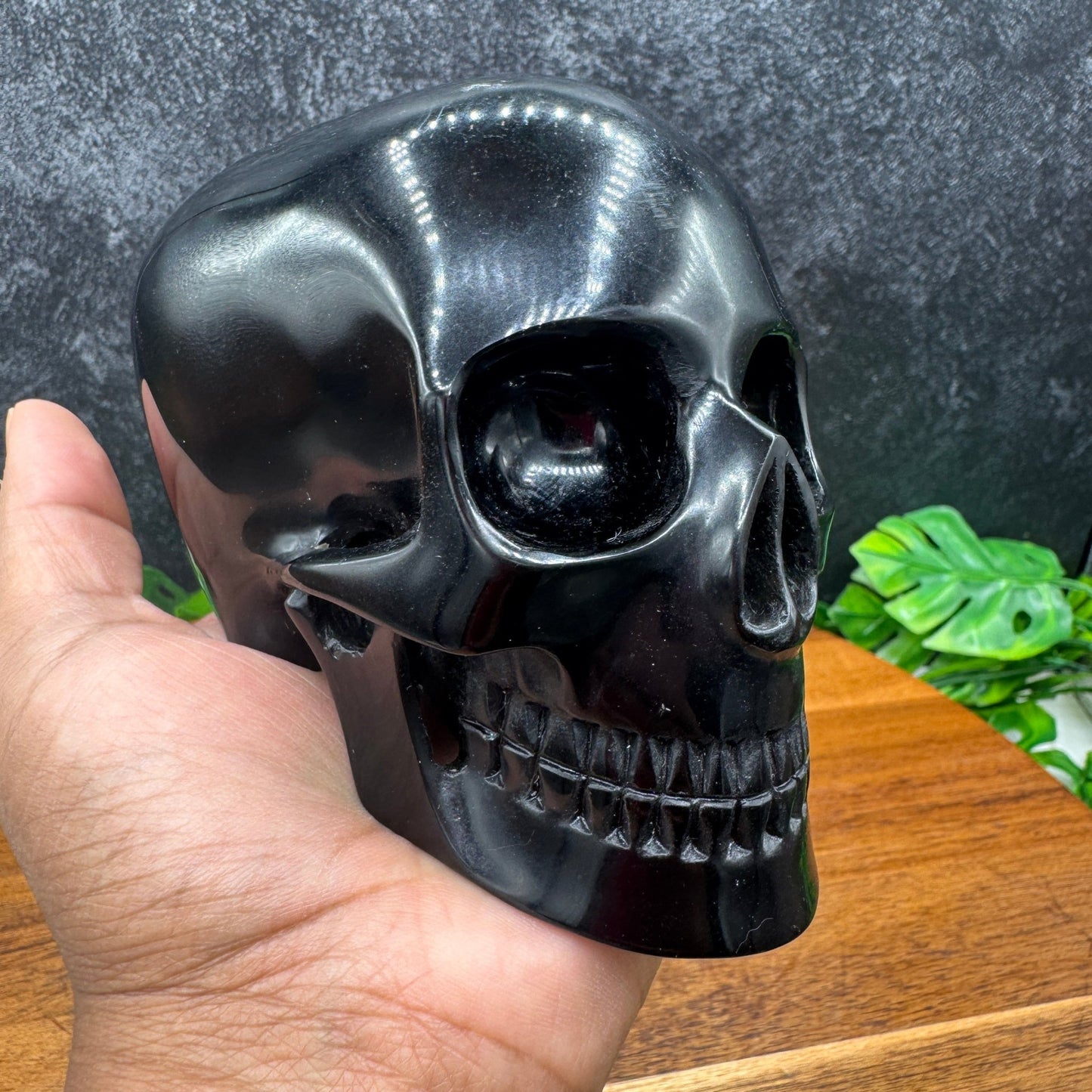 Black Obsidian Mitchell - Hedges Style Skull in Skull - Sage & Magic