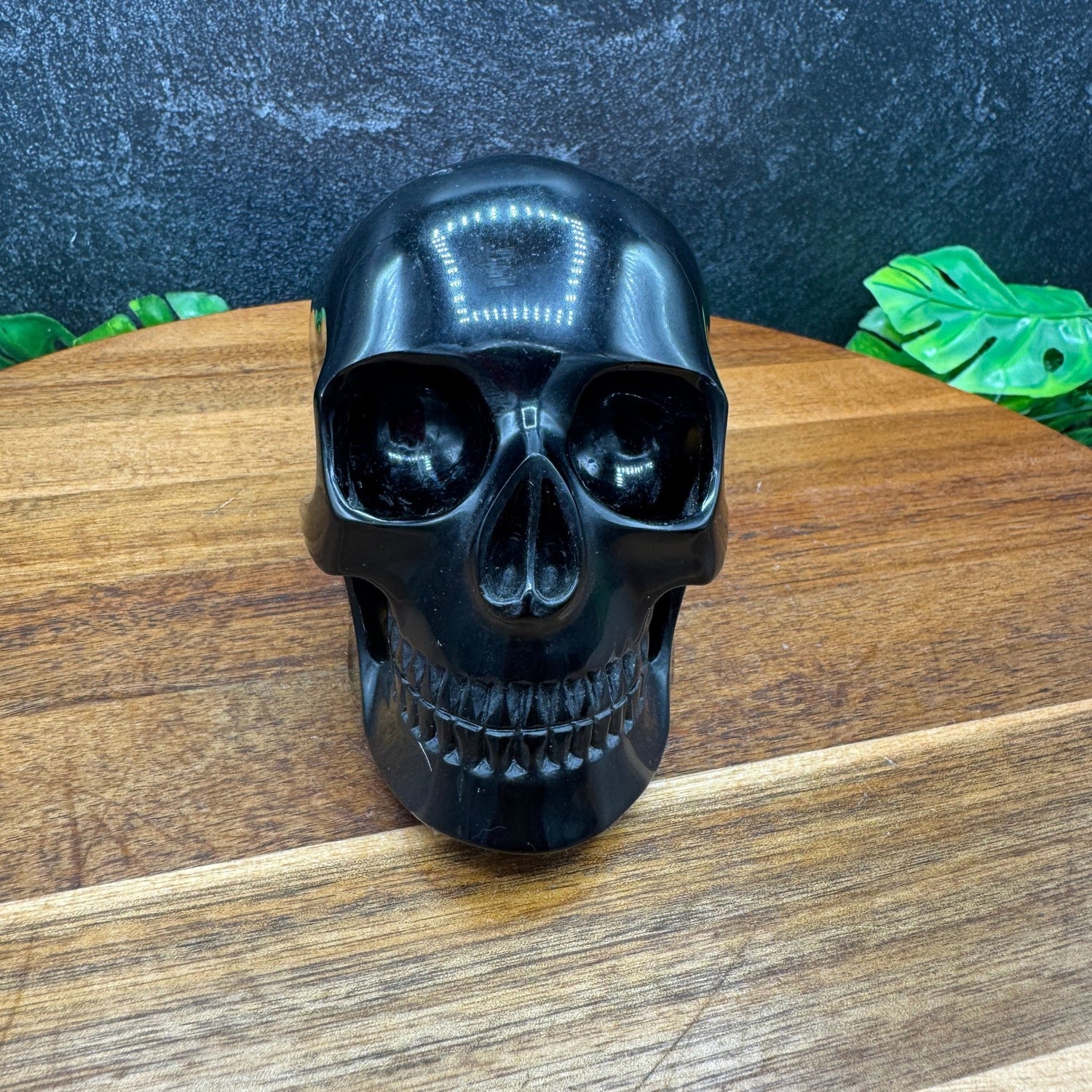 Black Obsidian Mitchell - Hedges Style Skull in Skull - Sage & Magic