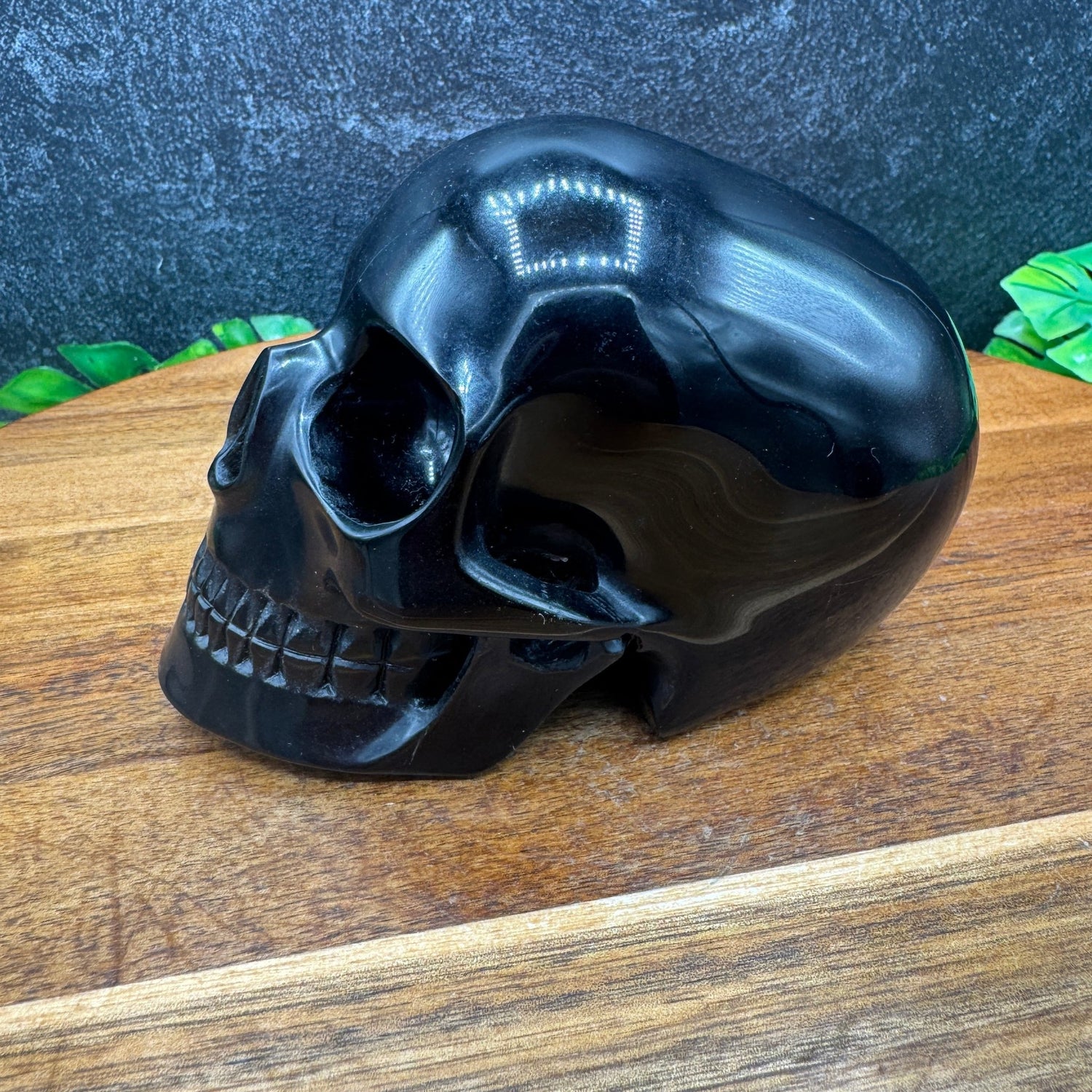 Black Obsidian Mitchell - Hedges Style Skull in Skull - Sage & Magic