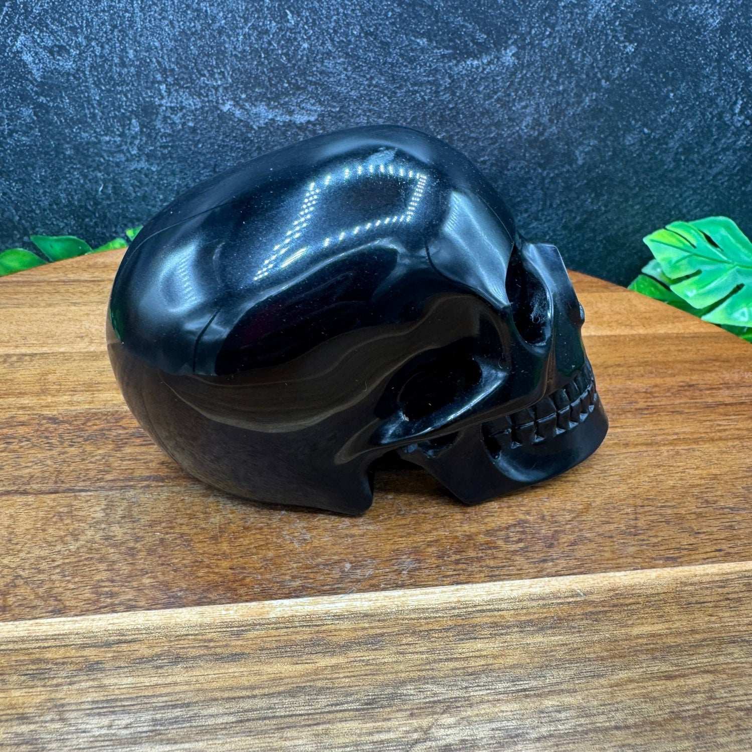 Black Obsidian Mitchell - Hedges Style Skull in Skull - Sage & Magic