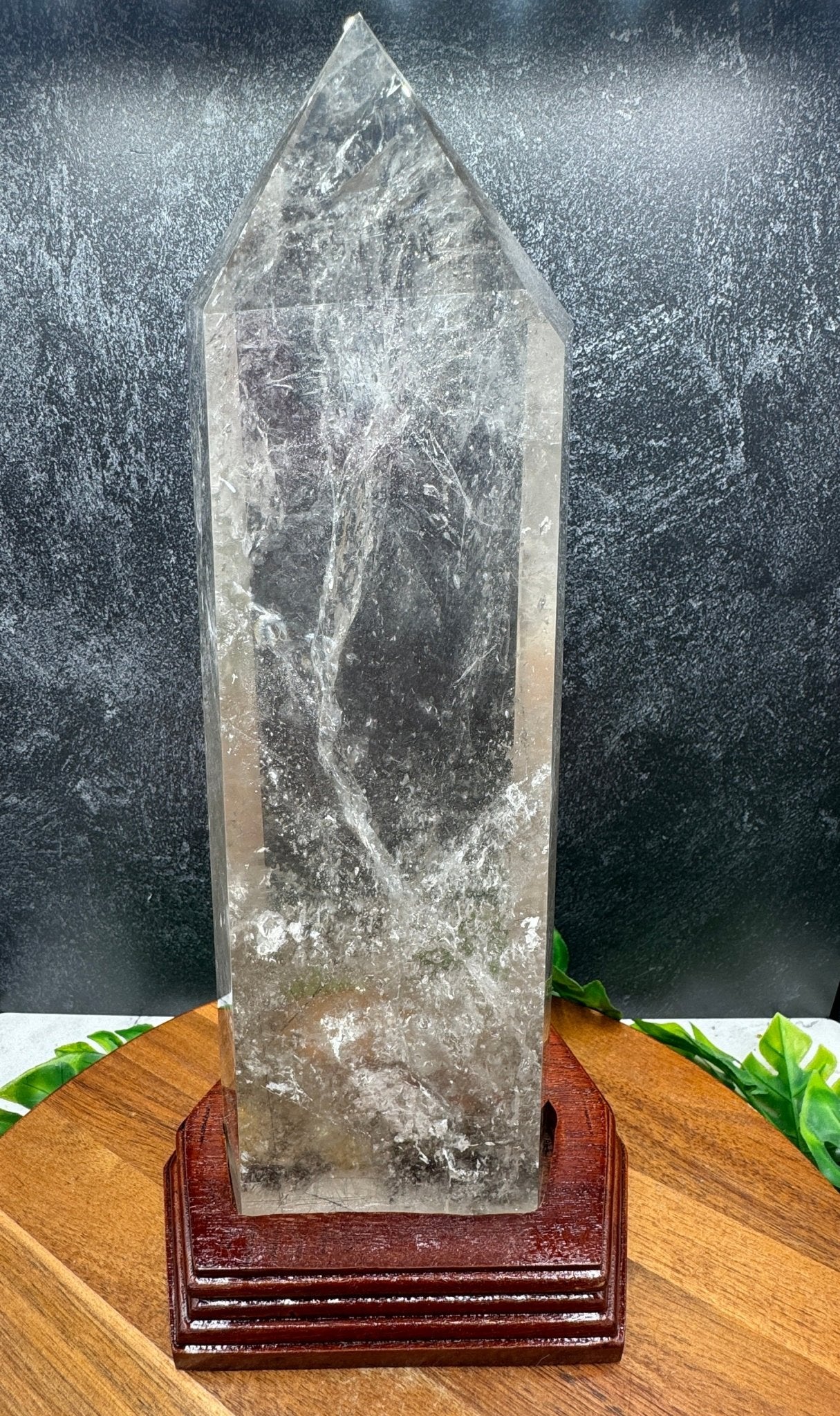 Black Rutile in Clear Quartz Tower with Stand - Sage & Magic