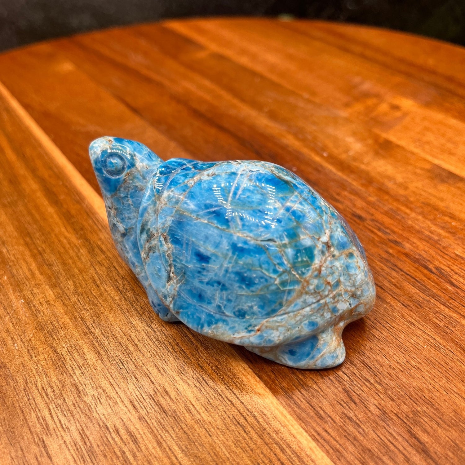 Blue Apatite Turtle - Sage & Magic