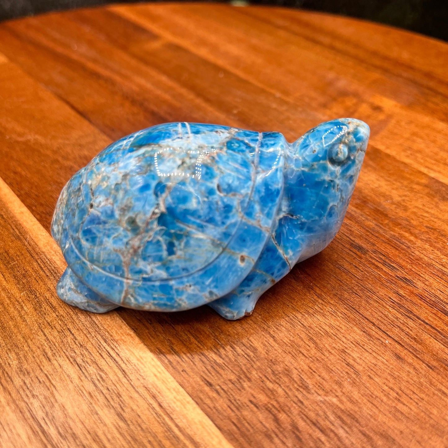 Blue Apatite Turtle - Sage & Magic