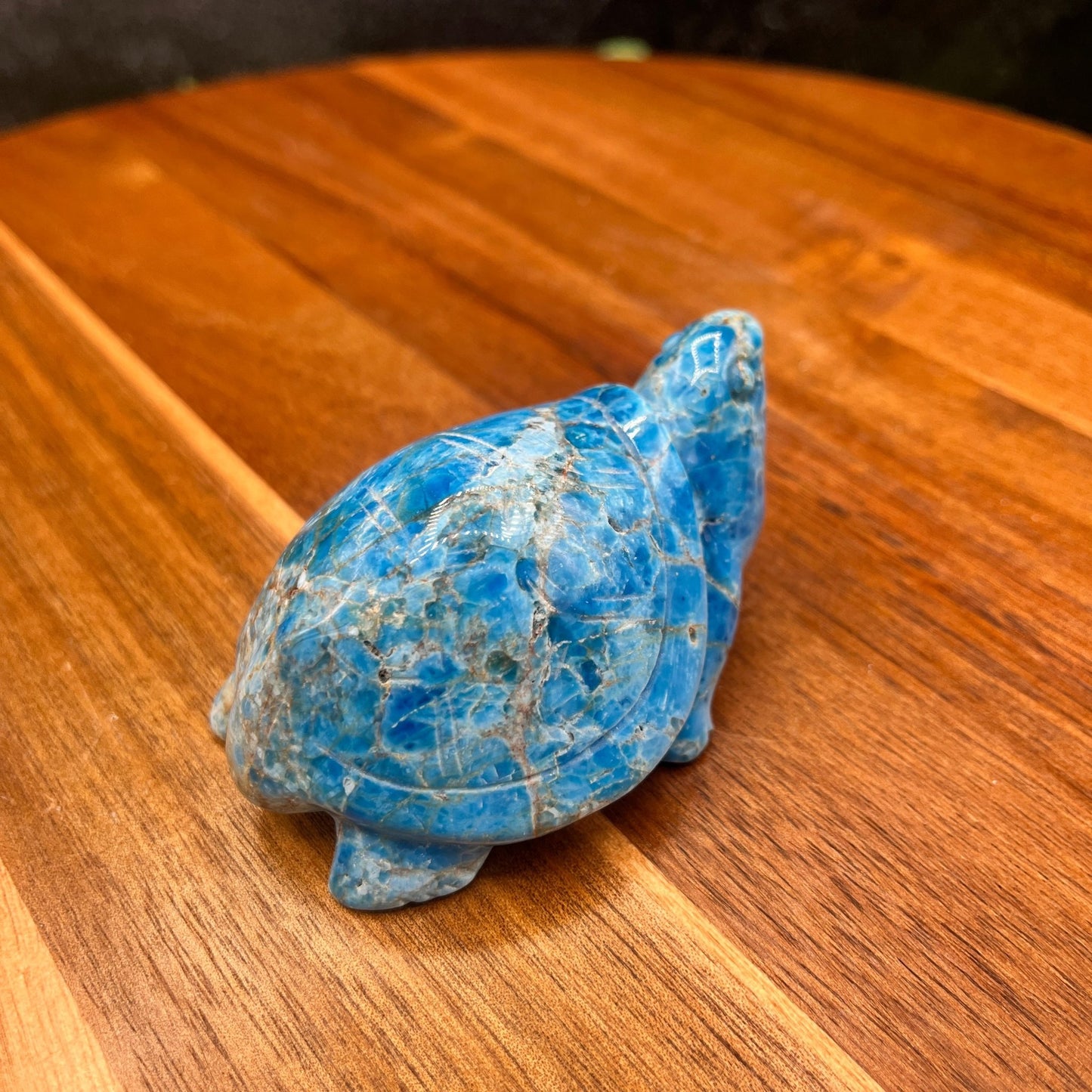 Blue Apatite Turtle - Sage & Magic