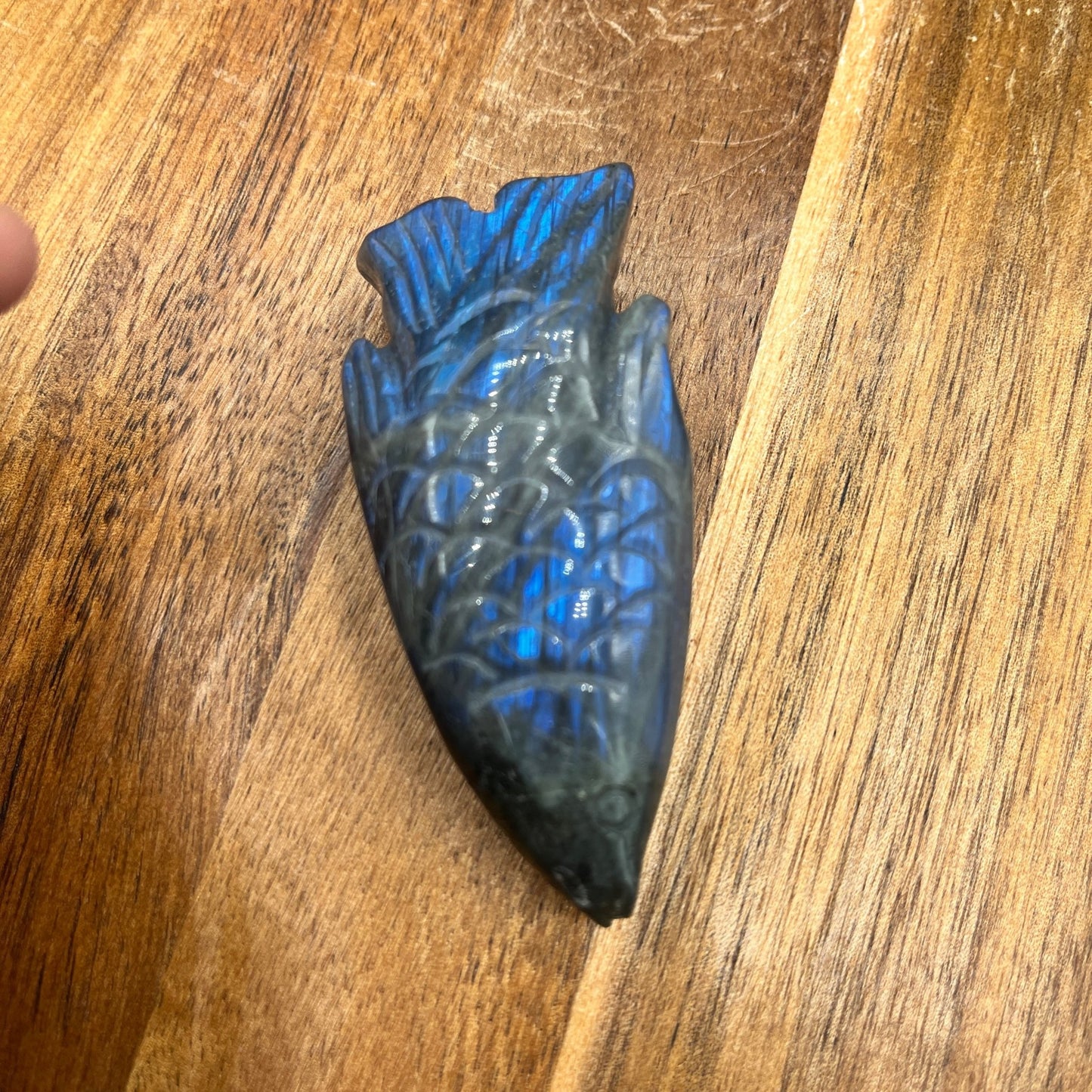 Blue Flash Labradorite Fish - Sage & Magic