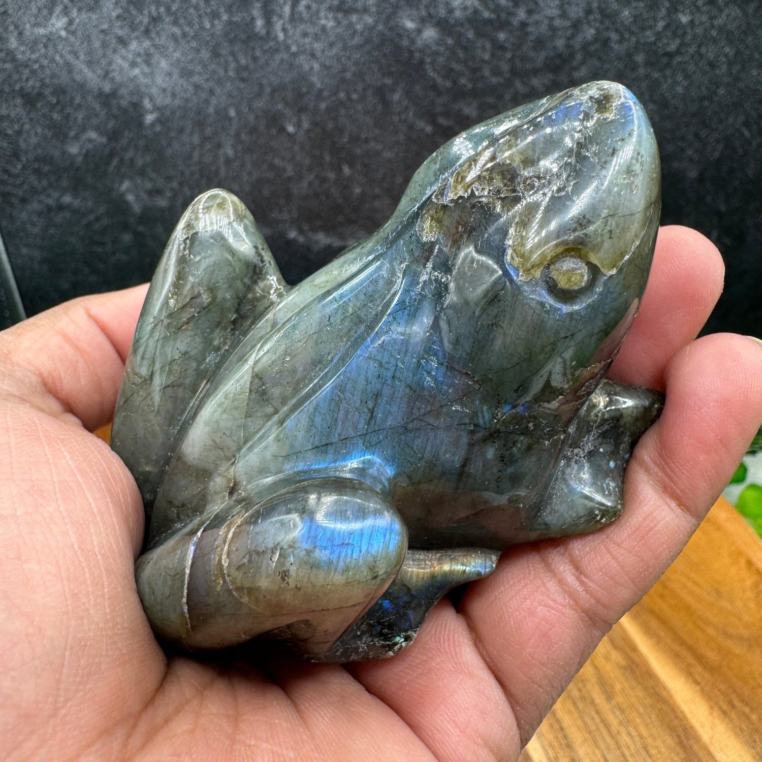 Blue Flash Labradorite Frog - Sage & Magic