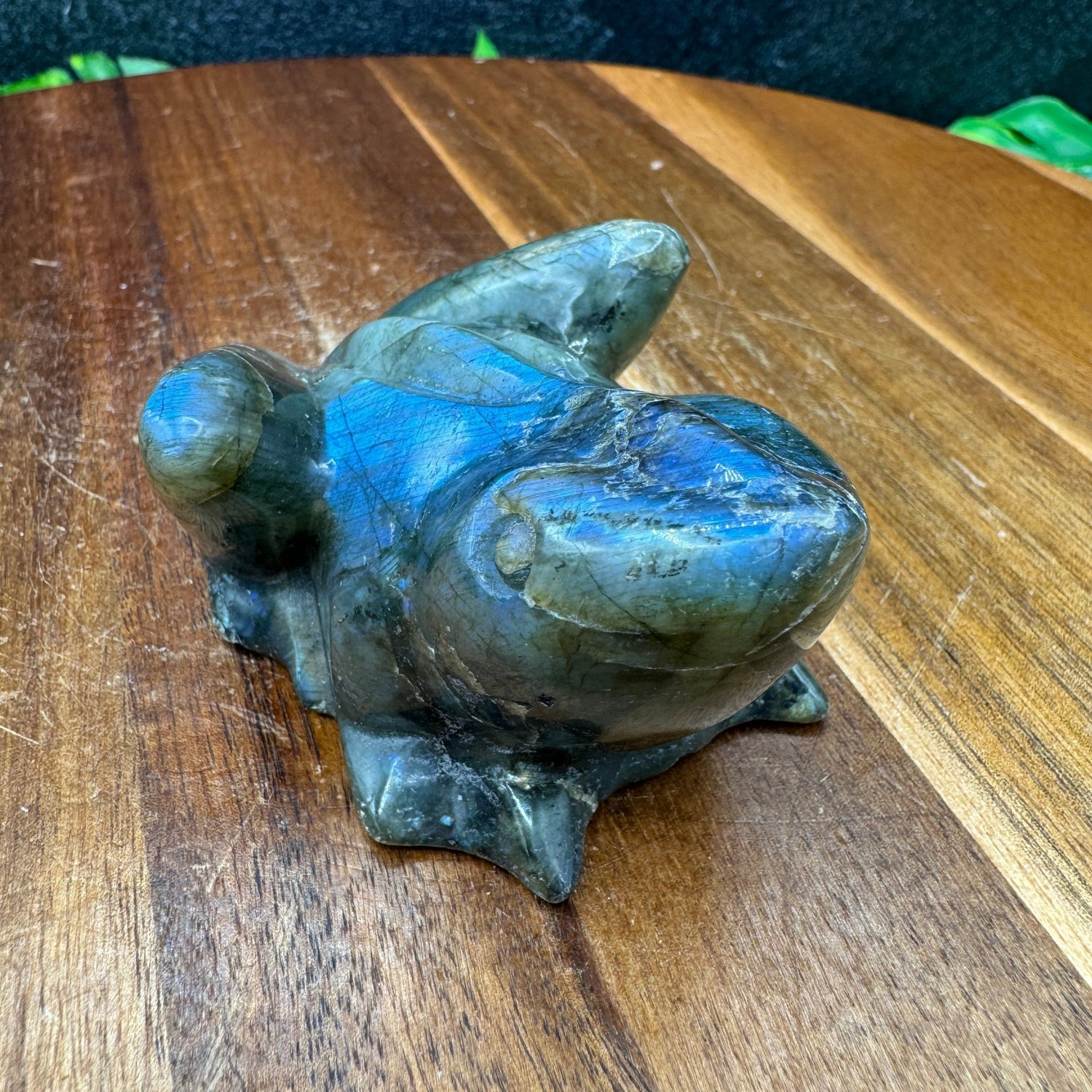 Blue Flash Labradorite Frog - Sage & Magic