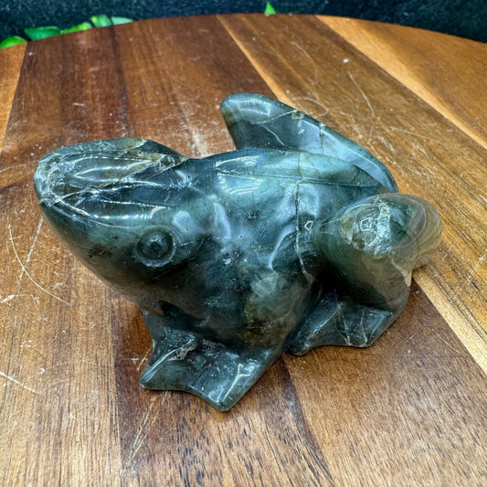 Blue Flash Labradorite Frog - Sage & Magic