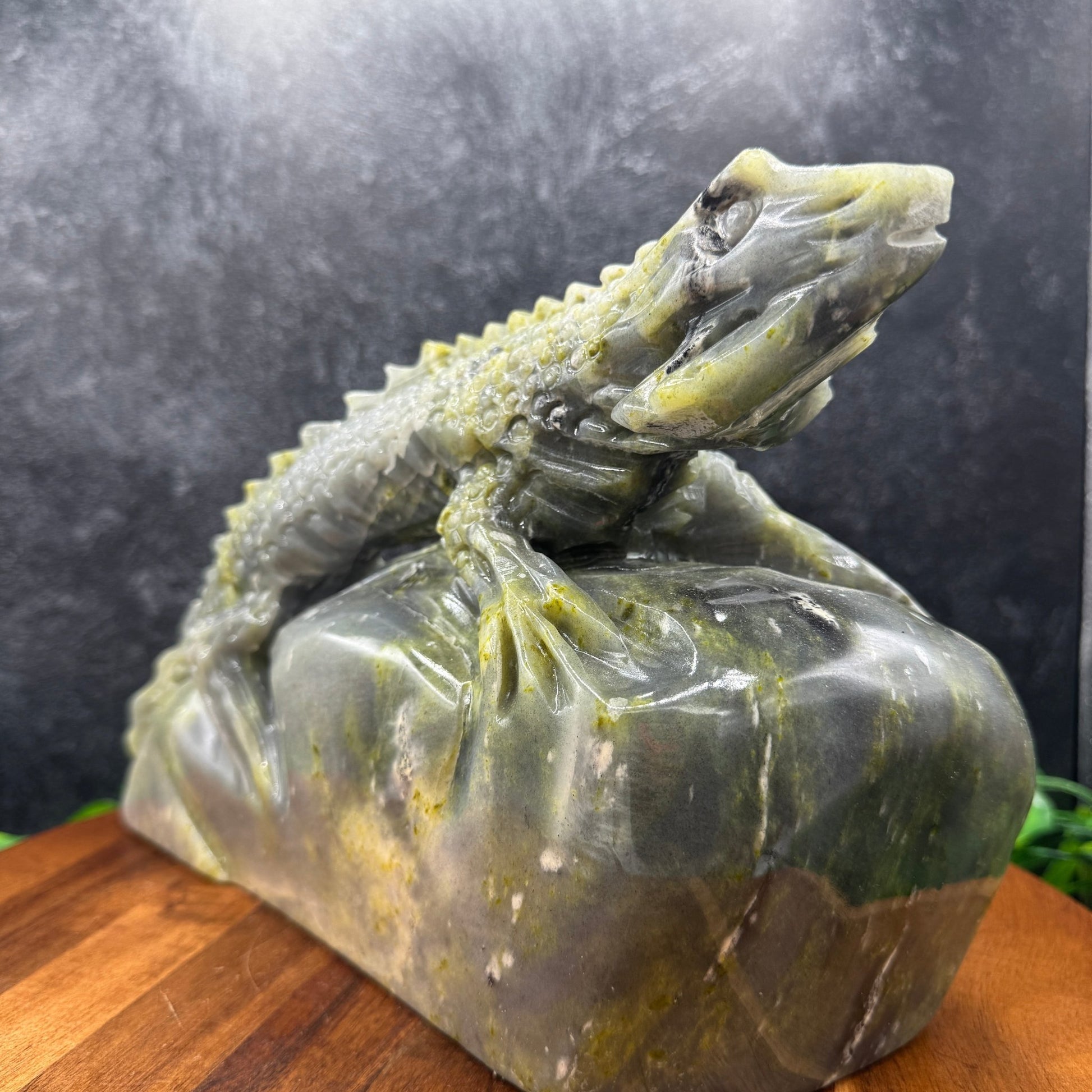 Blue Green Lantian Jade Lizard - Sage & Magic