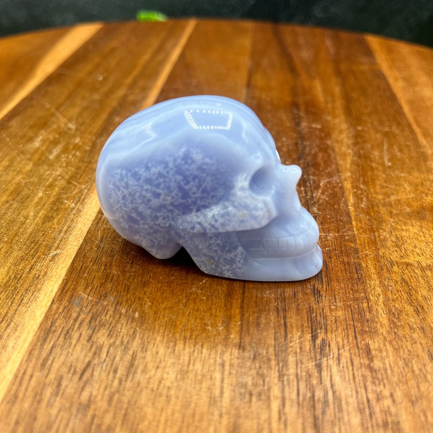 Blue Lace Agate Skull - Sage & Magic