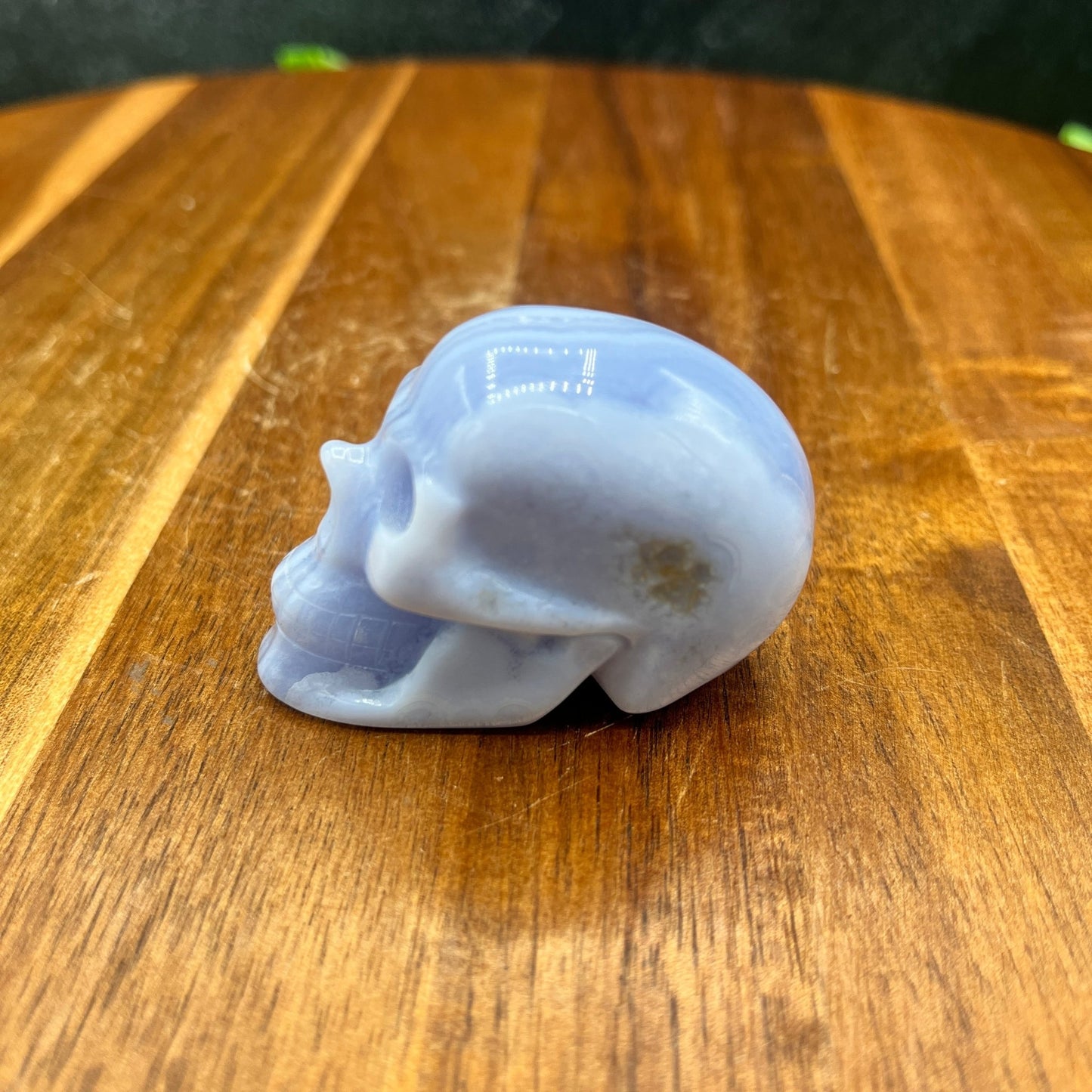 Blue Lace Agate Skull - Sage & Magic