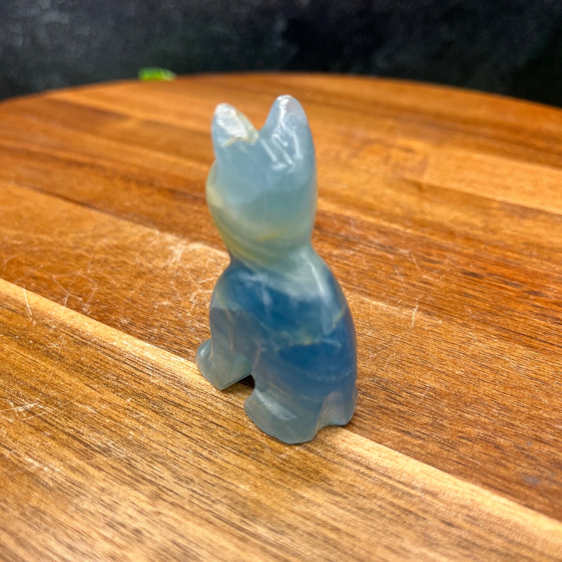 Blue Onyx Cat - Sage & Magic