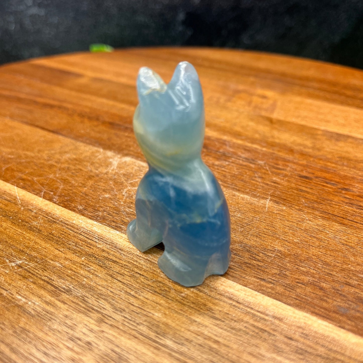 Blue Onyx Cat - Sage & Magic