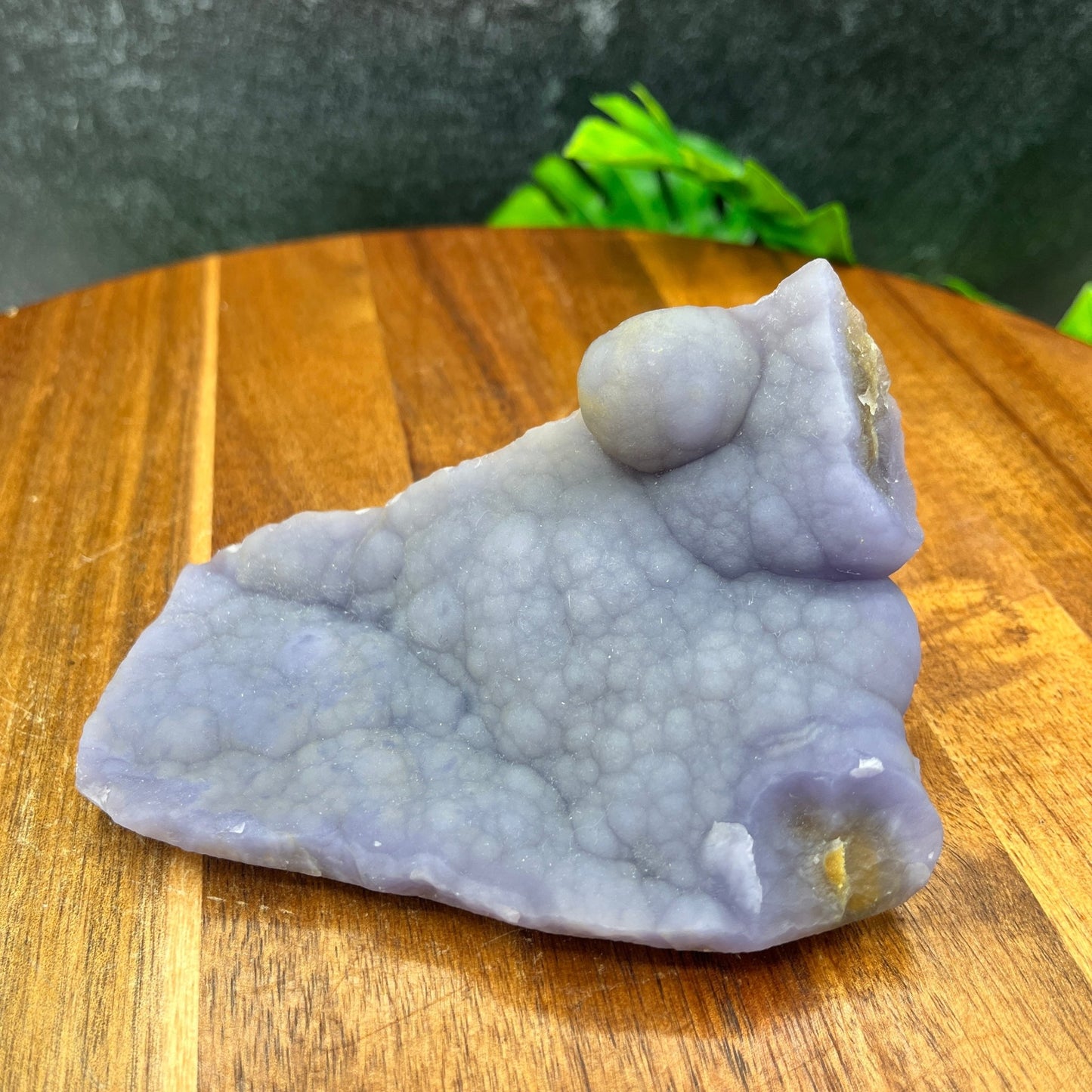 Botryoidal Fluorite Specimen - Sage & Magic