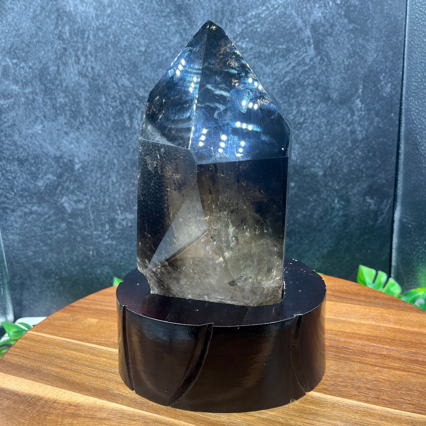 Brazilian Smokey Quartz Point in Wooden Stand - Sage & Magic