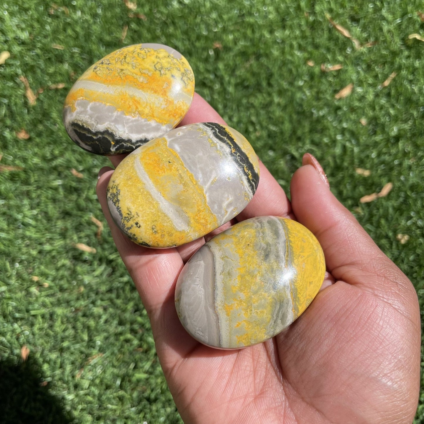 Bumble bee Jasper Palm Stone - Sage & Magic