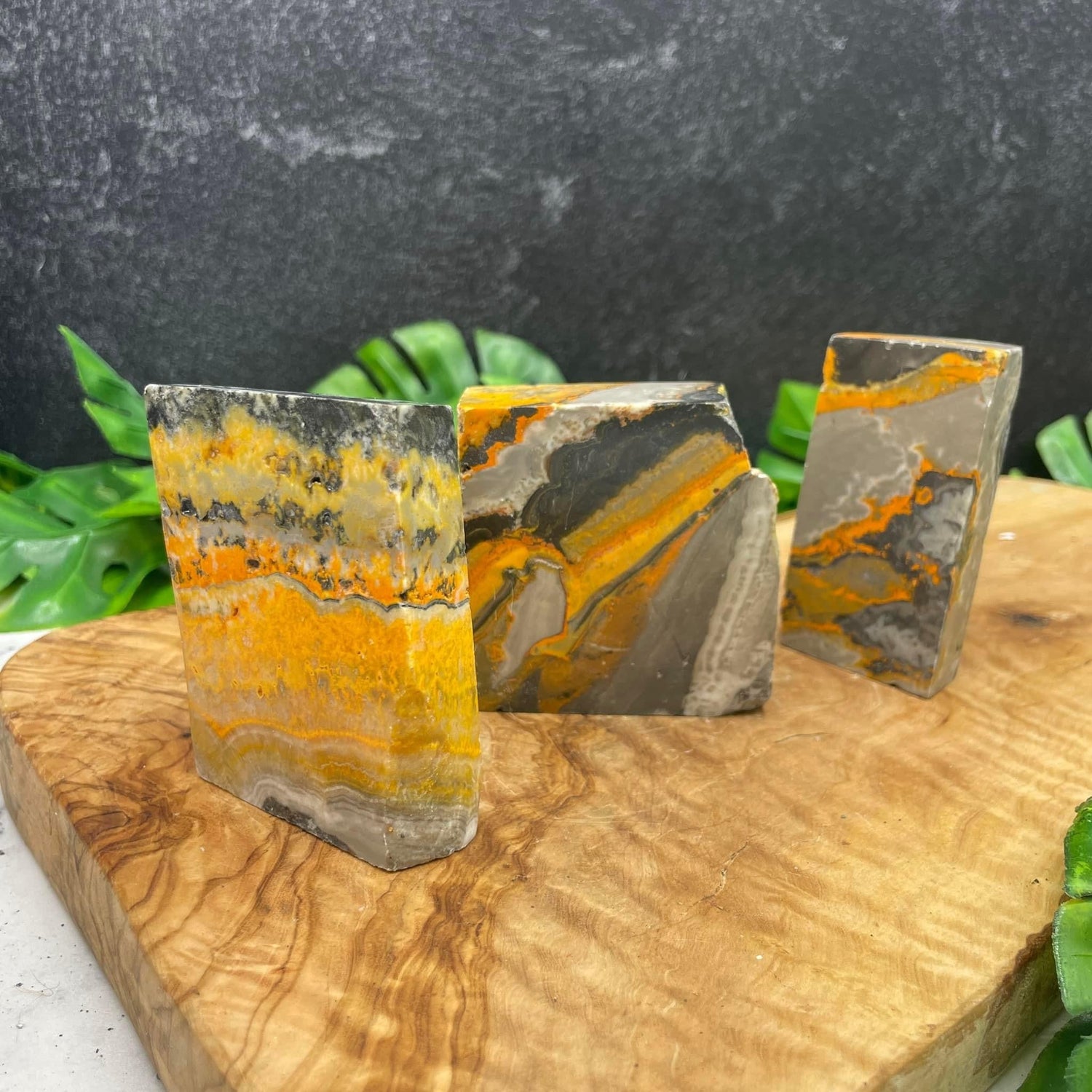 Bumblebee Jasper Slab Bundle - Sage & Magic