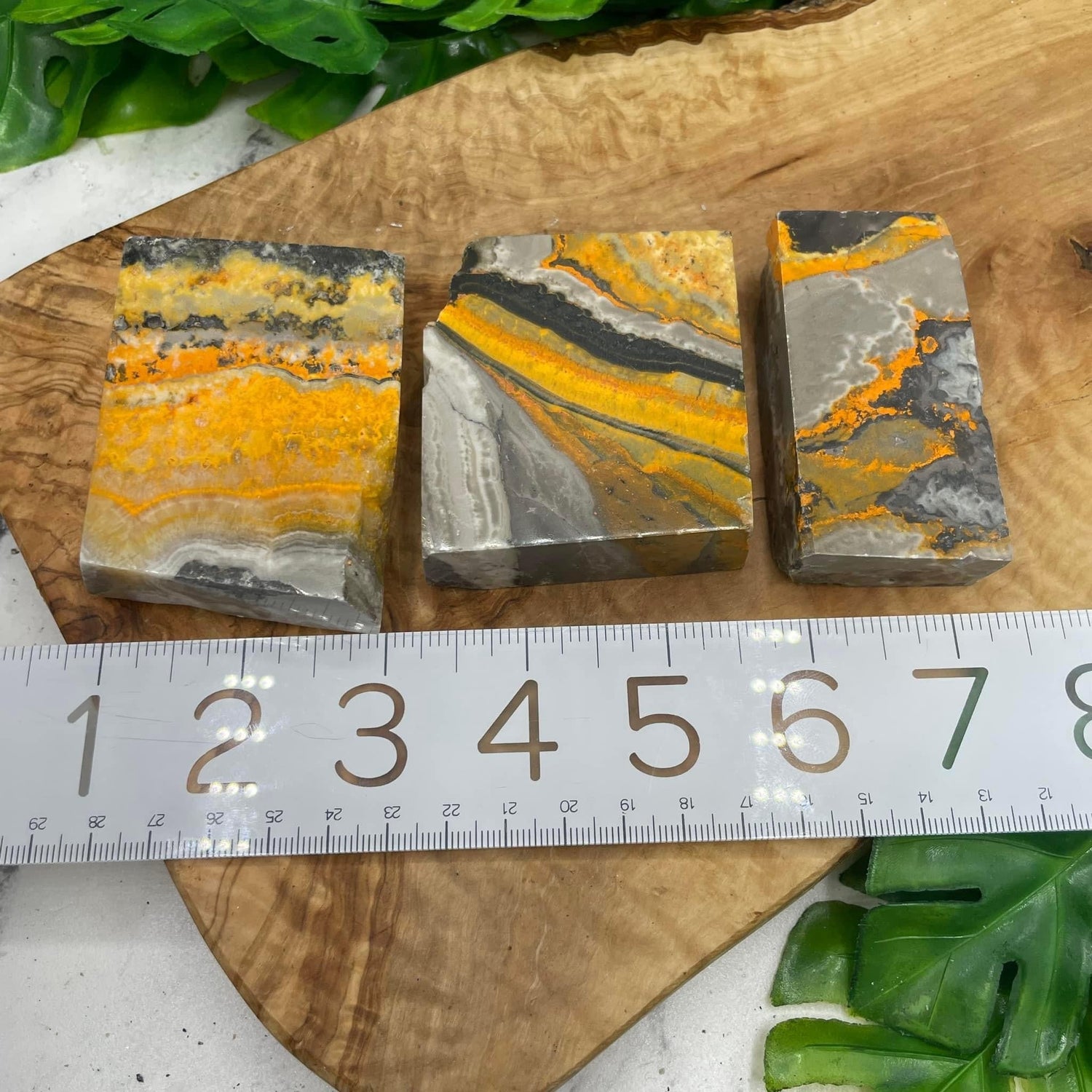 Bumblebee Jasper Slab Bundle - Sage & Magic