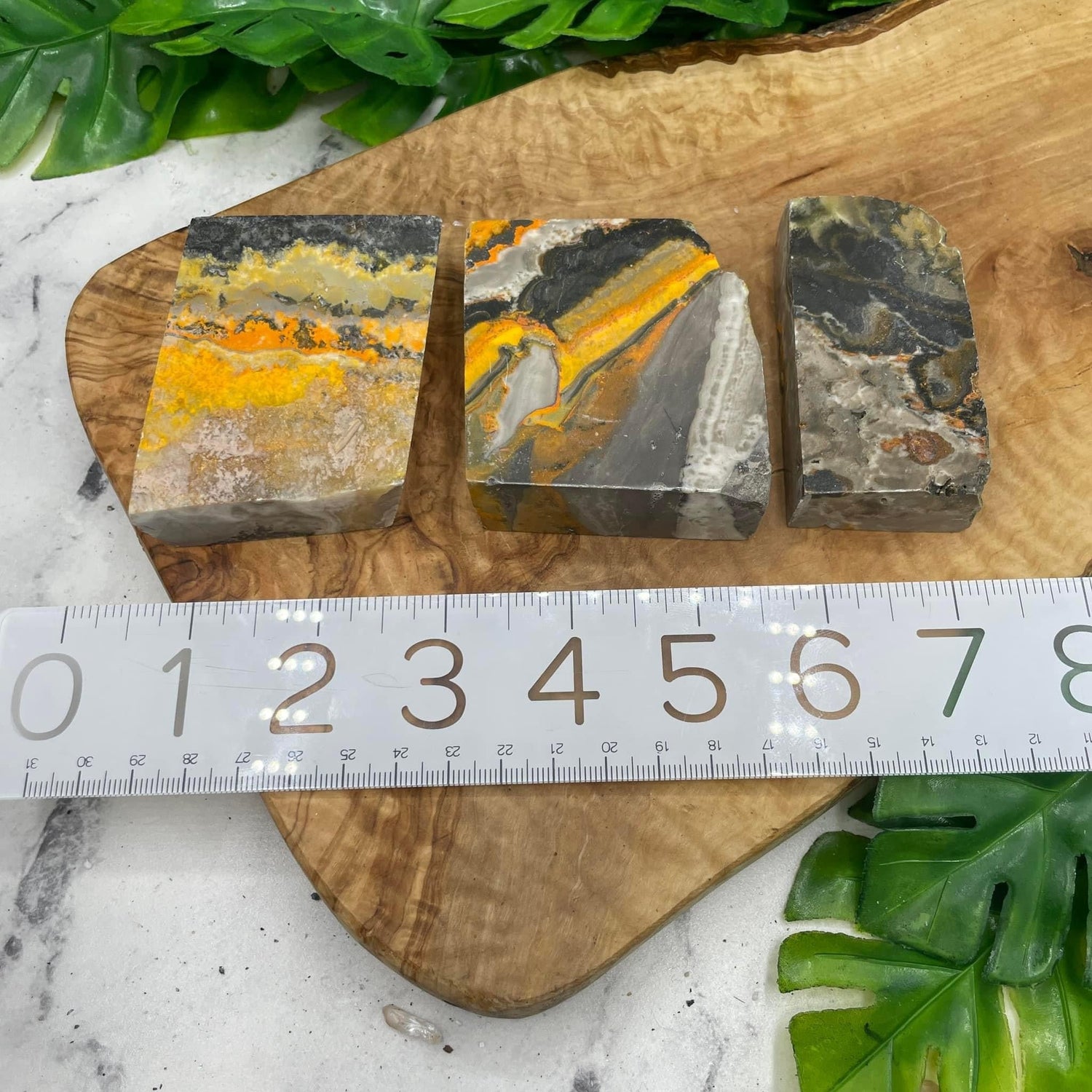 Bumblebee Jasper Slab Bundle - Sage & Magic