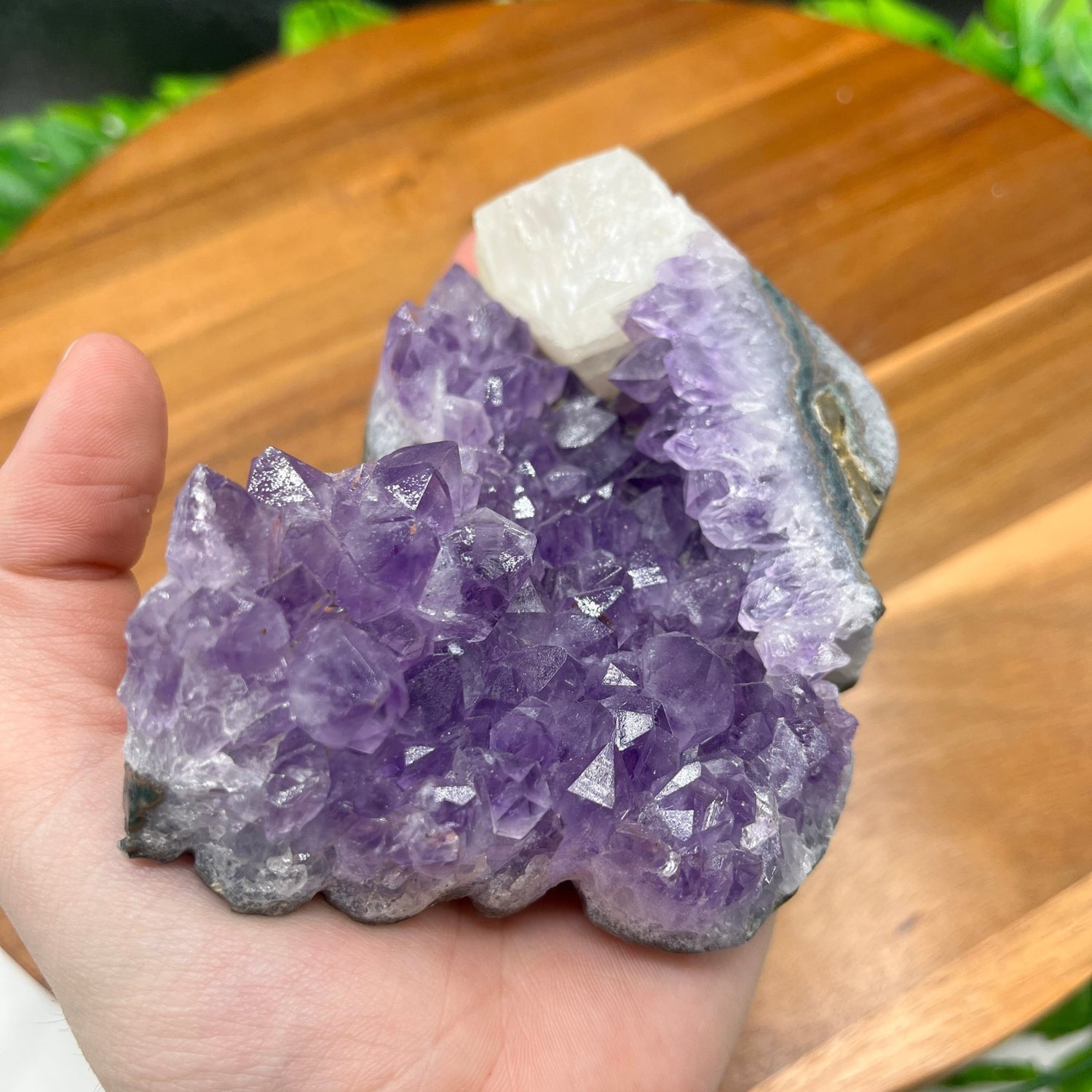 Calcite Amethyst Butterfly - Sage & Magic