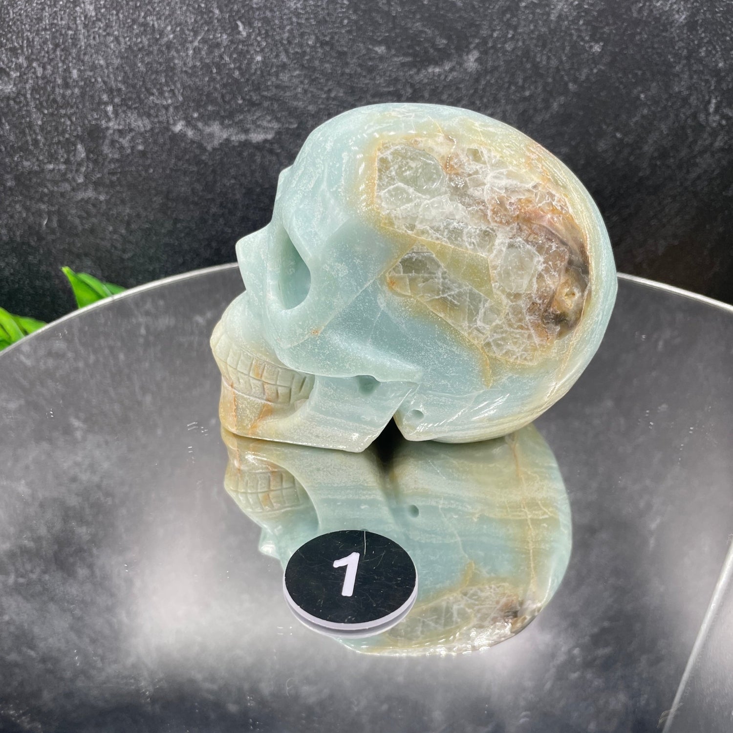 Caribbean Calcite Medium Skull - Sage & Magic