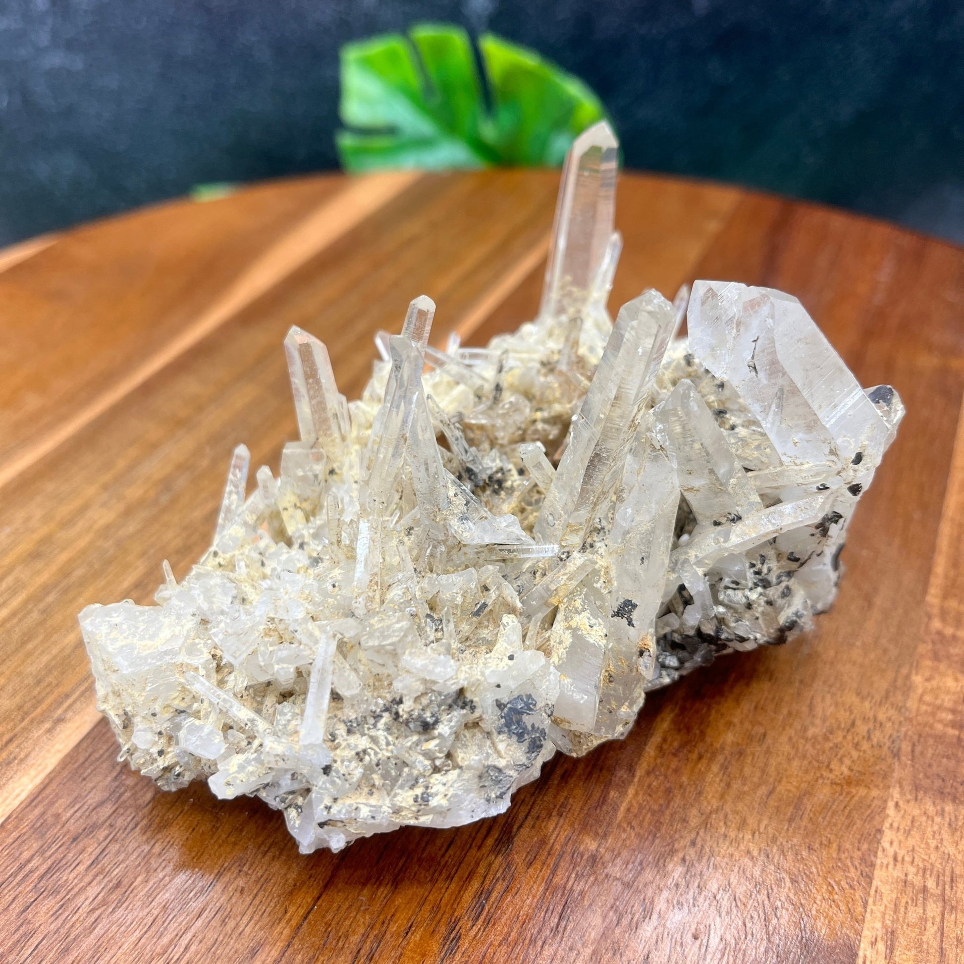 Clear Needle Quartz Specimen - Sage & Magic