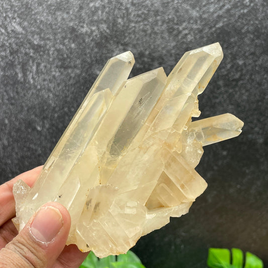 Clear Quartz Cluster in Stand - Sage & Magic