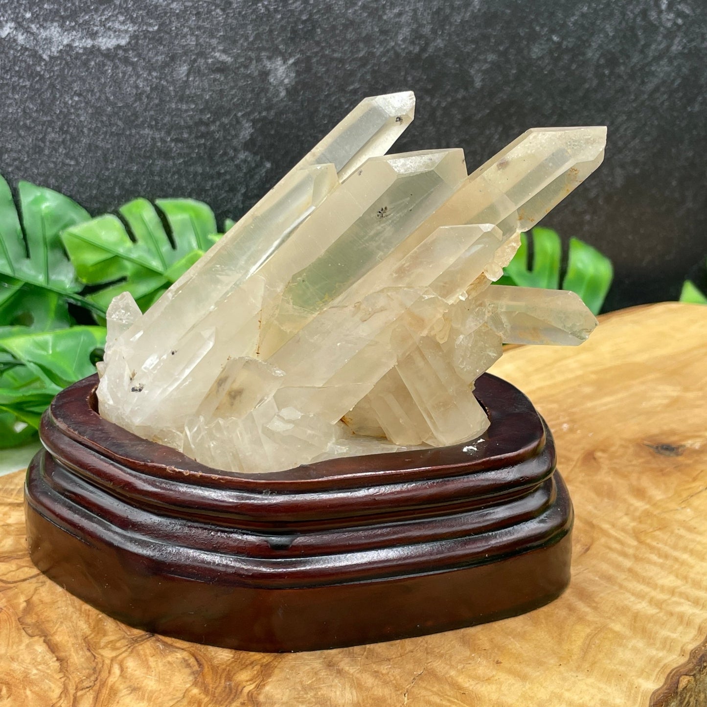 Clear Quartz Cluster in Stand - Sage & Magic