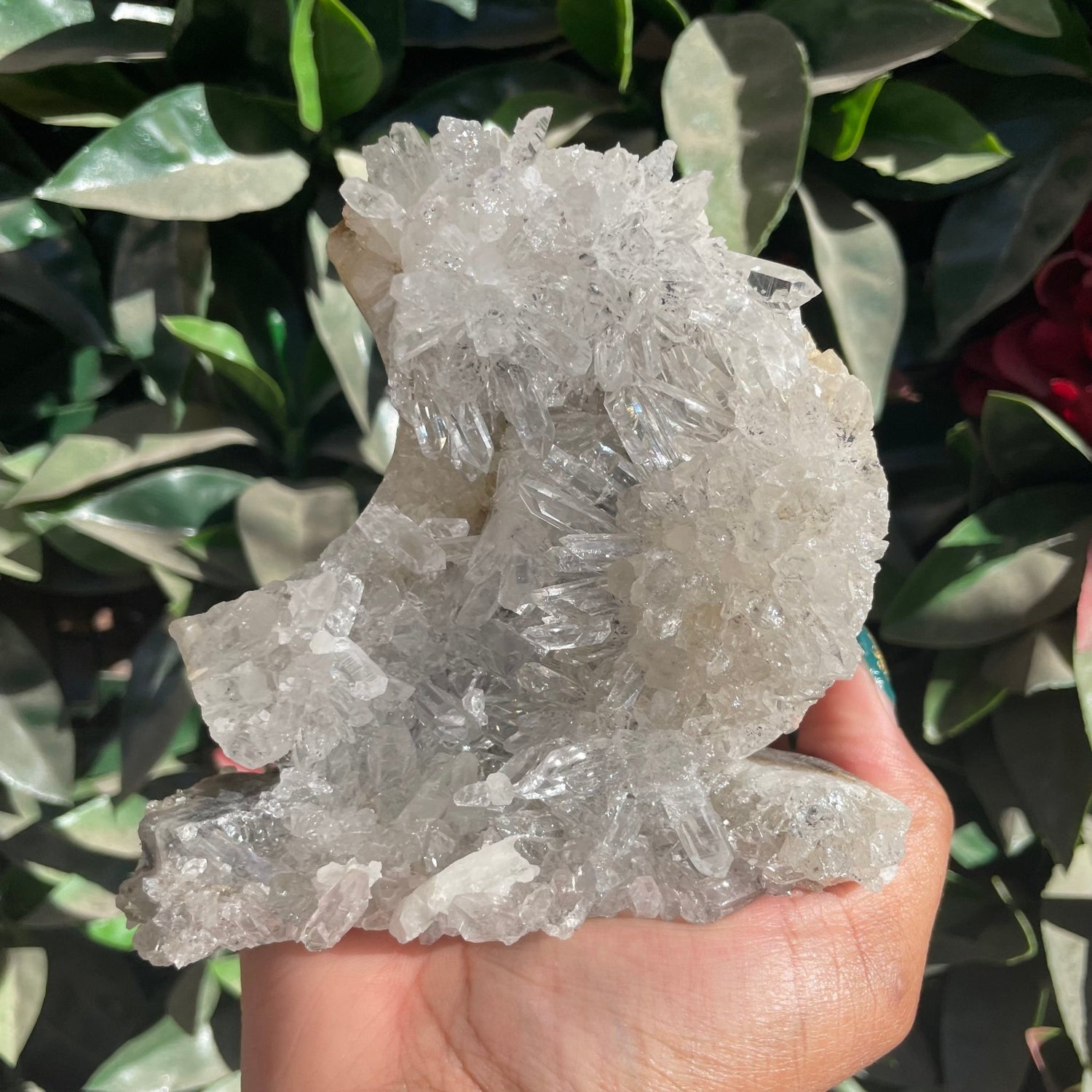 Clear Quartz Cluster Moon - Sage & Magic