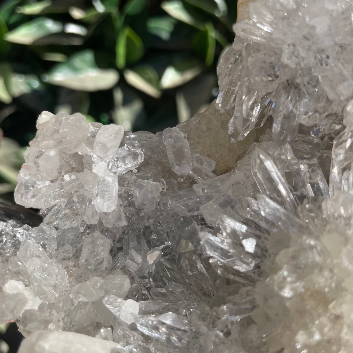 Clear Quartz Cluster Moon - Sage & Magic