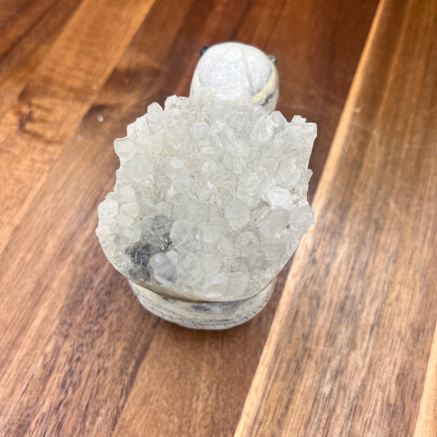 Clear Quartz Cluster Turtle - Sage & Magic