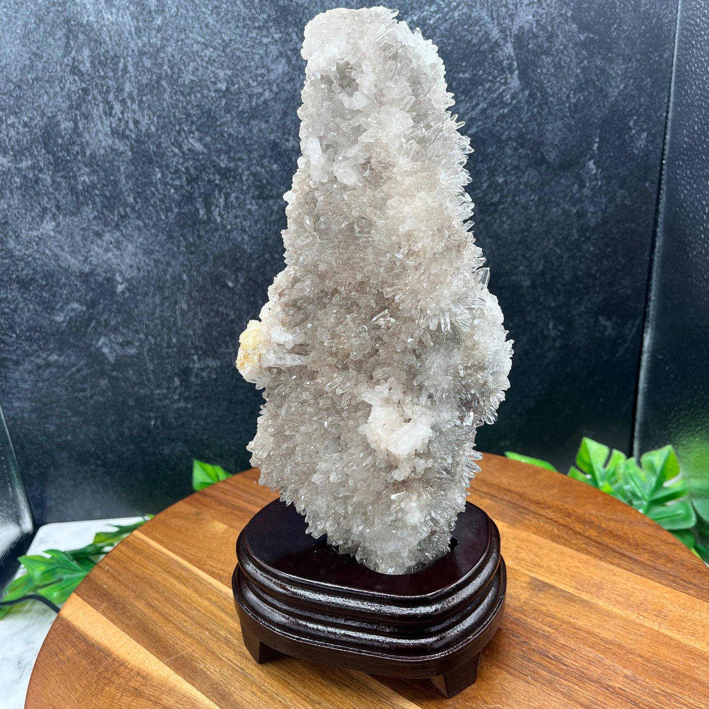 Clear Quartz Cluster With Wood Stand - Sage & Magic