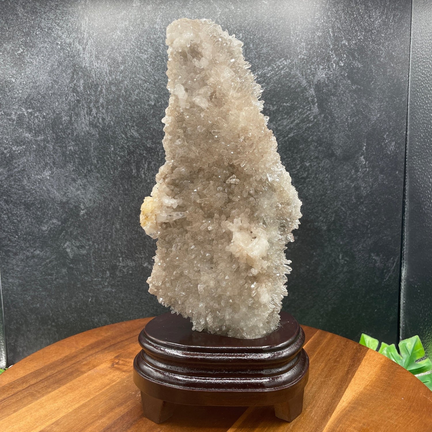 Clear Quartz Cluster With Wood Stand - Sage & Magic