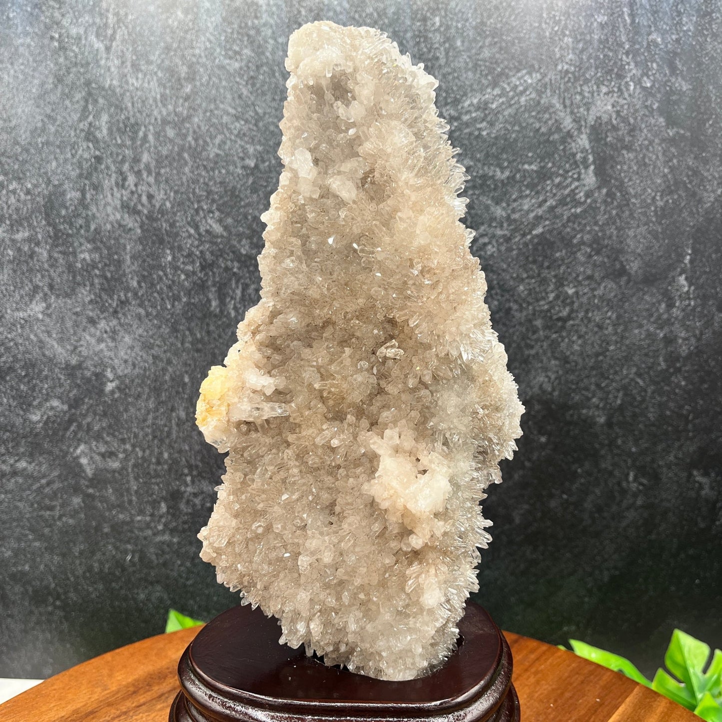 Clear Quartz Cluster With Wood Stand - Sage & Magic