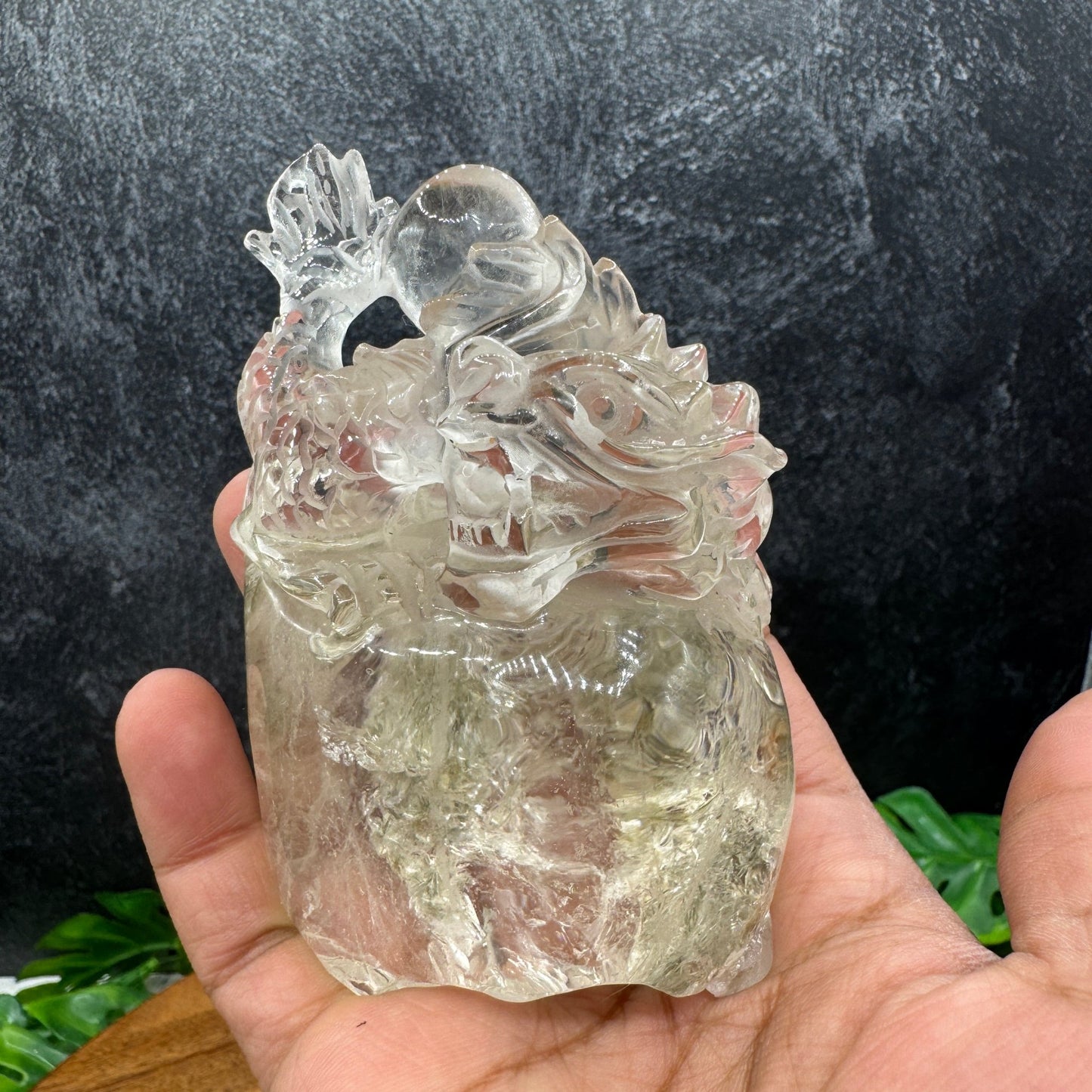 Clear Quartz Dragon Carved Lodolite Lens - Sage & Magic