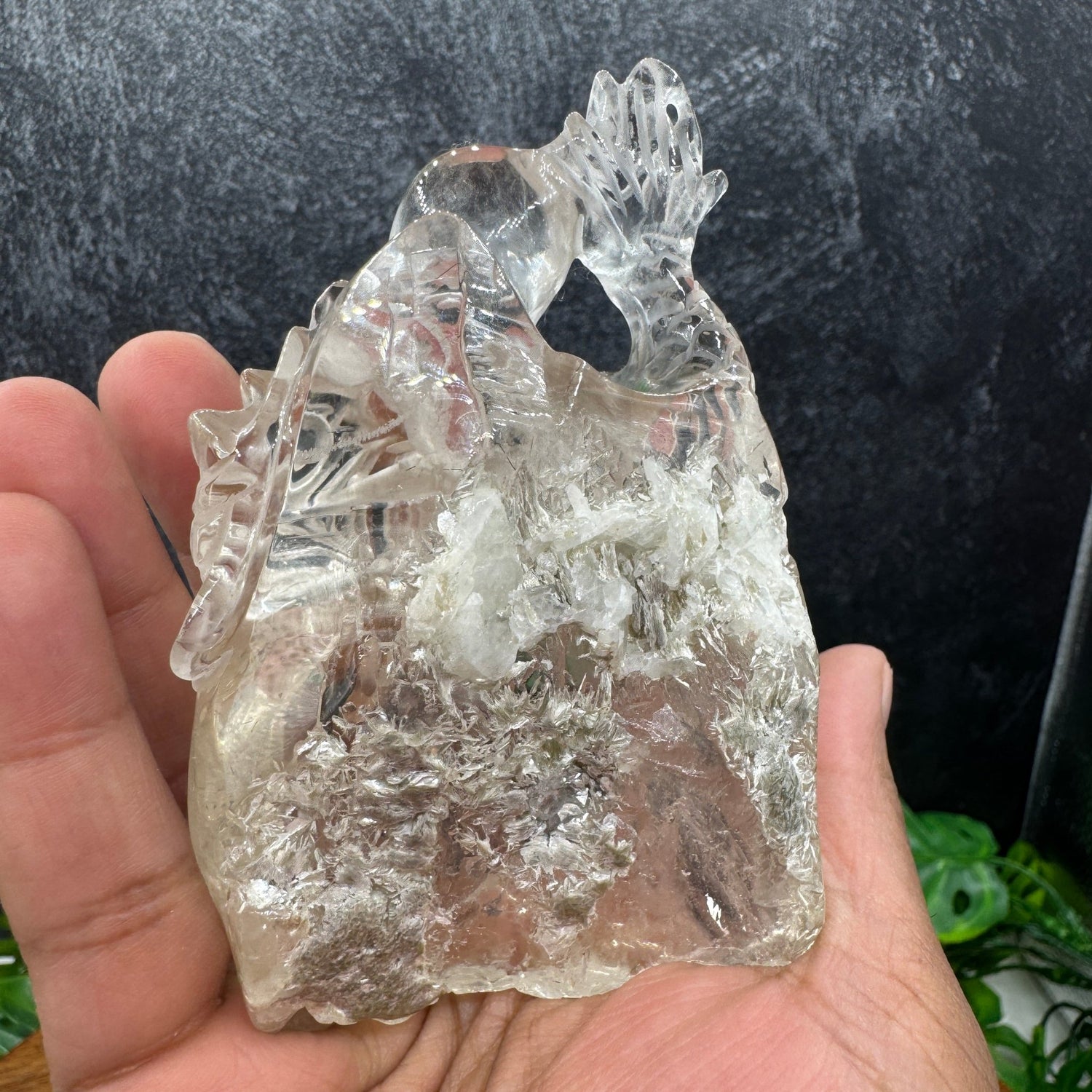 Clear Quartz Dragon Carved Lodolite Lens - Sage & Magic