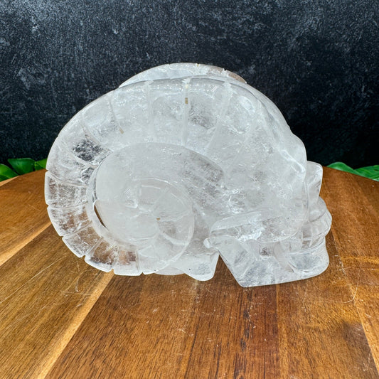 Clear Quartz Horned Skull - Sage & Magic