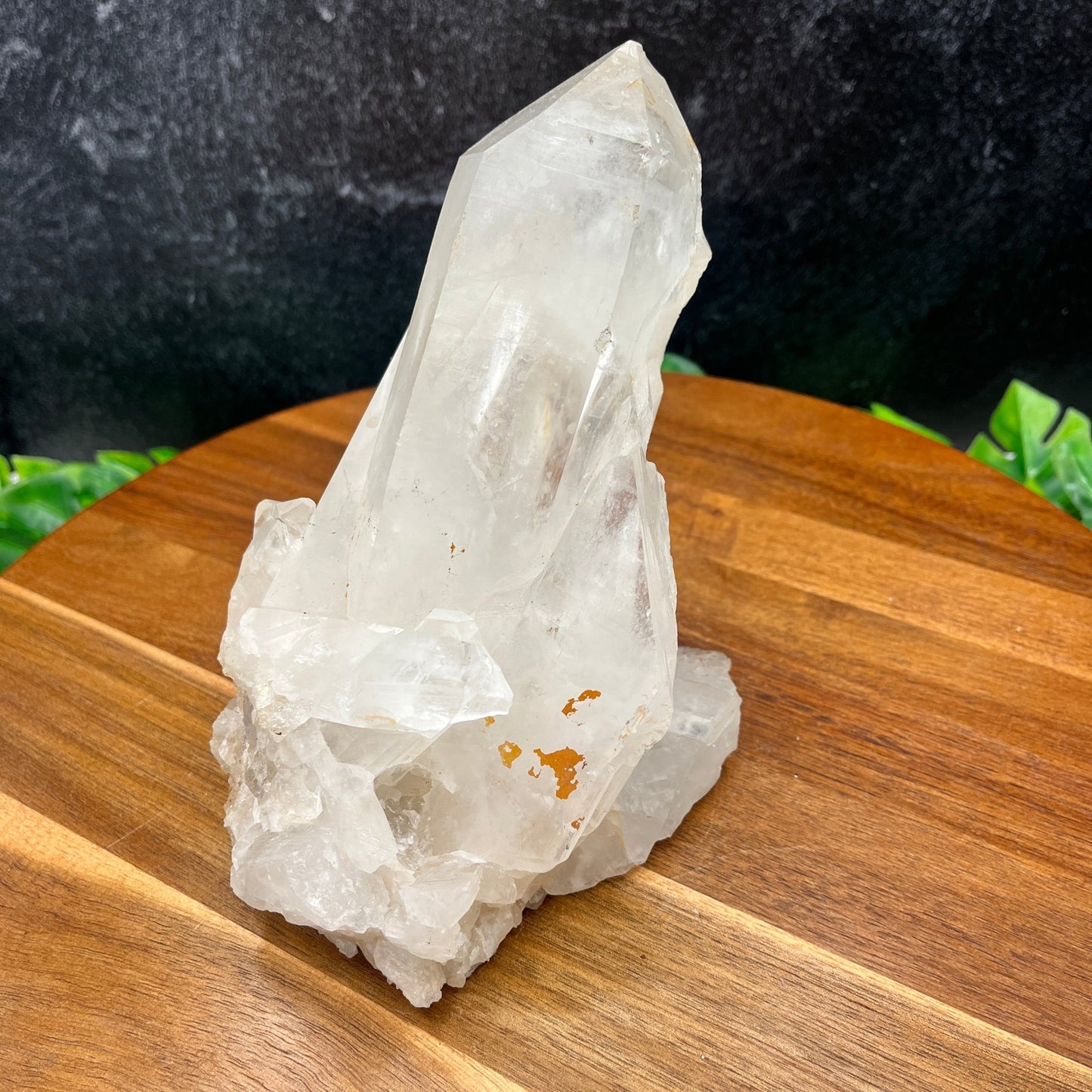 Clear Quartz Point Cluster - Sage & Magic