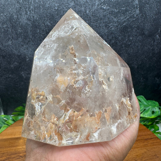 Clear Quartz Point with Sand Inclusions - Sage & Magic