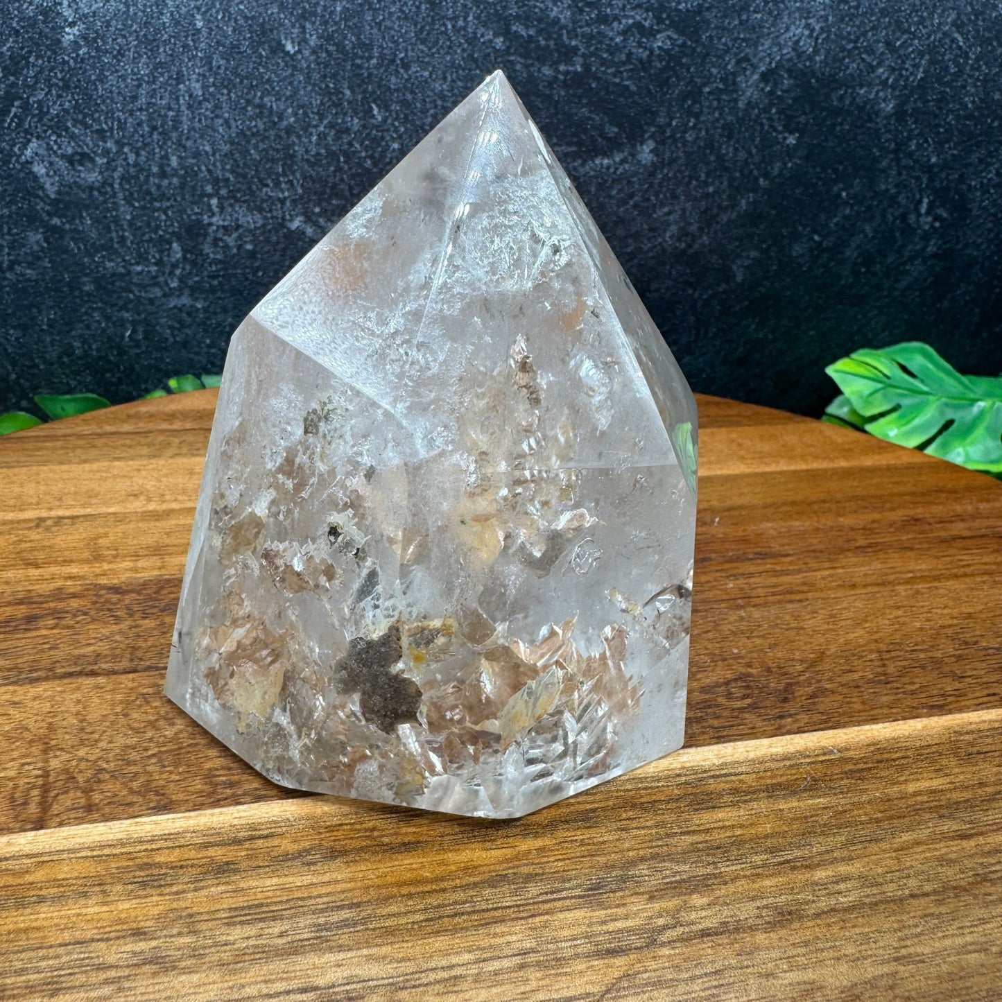 Clear Quartz Point with Sand Inclusions - Sage & Magic