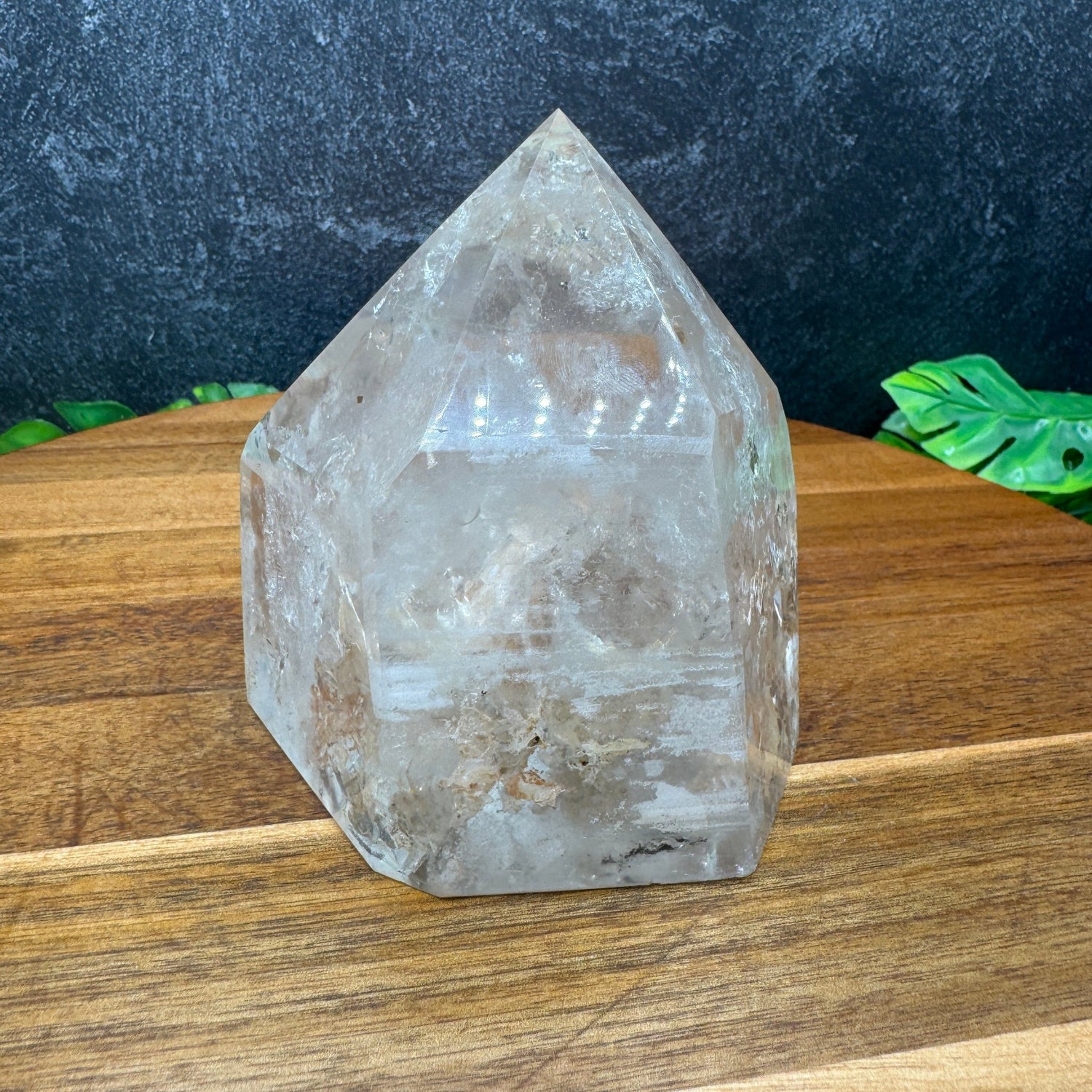 Clear Quartz Point with Sand Inclusions - Sage & Magic