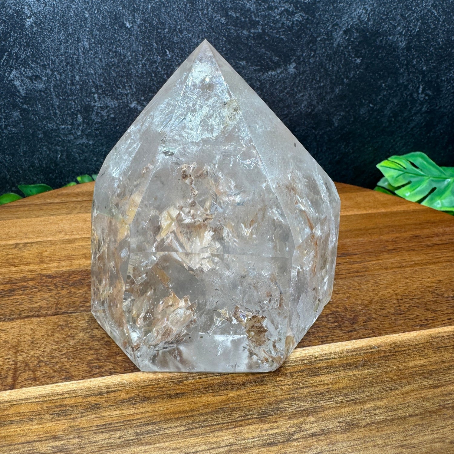 Clear Quartz Point with Sand Inclusions - Sage & Magic